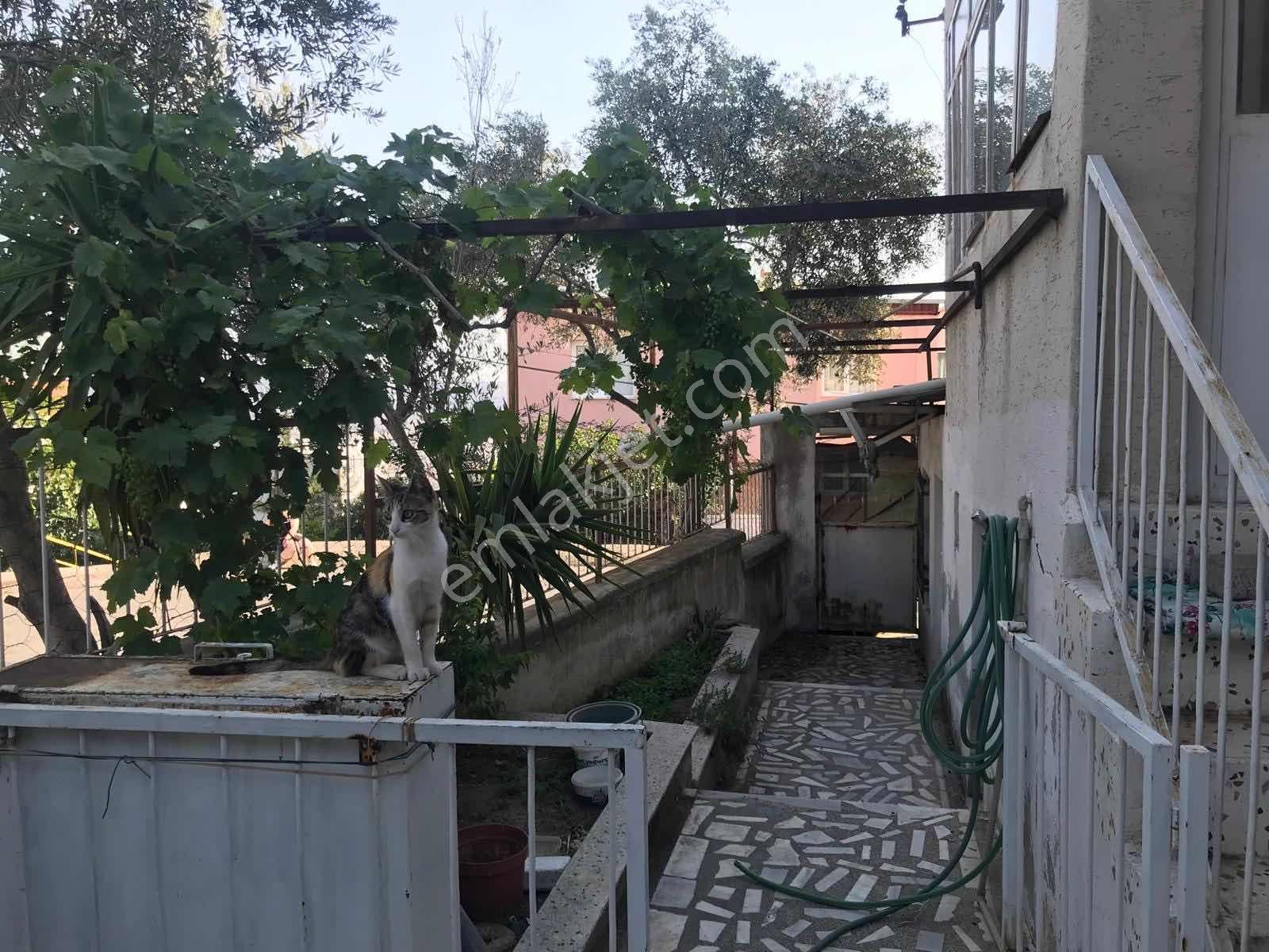 Bornova Atatürk Mah De Müstakil 235 M2 2 Katlı Kople Satı Bina - Görsel 3