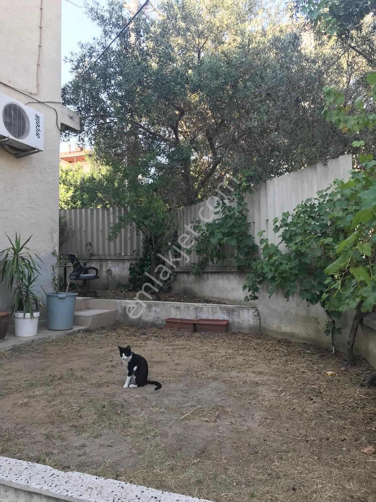 Bornova Atatürk Mah De Müstakil 235 M2 2 Katlı Kople Satı Bina - Görsel 8