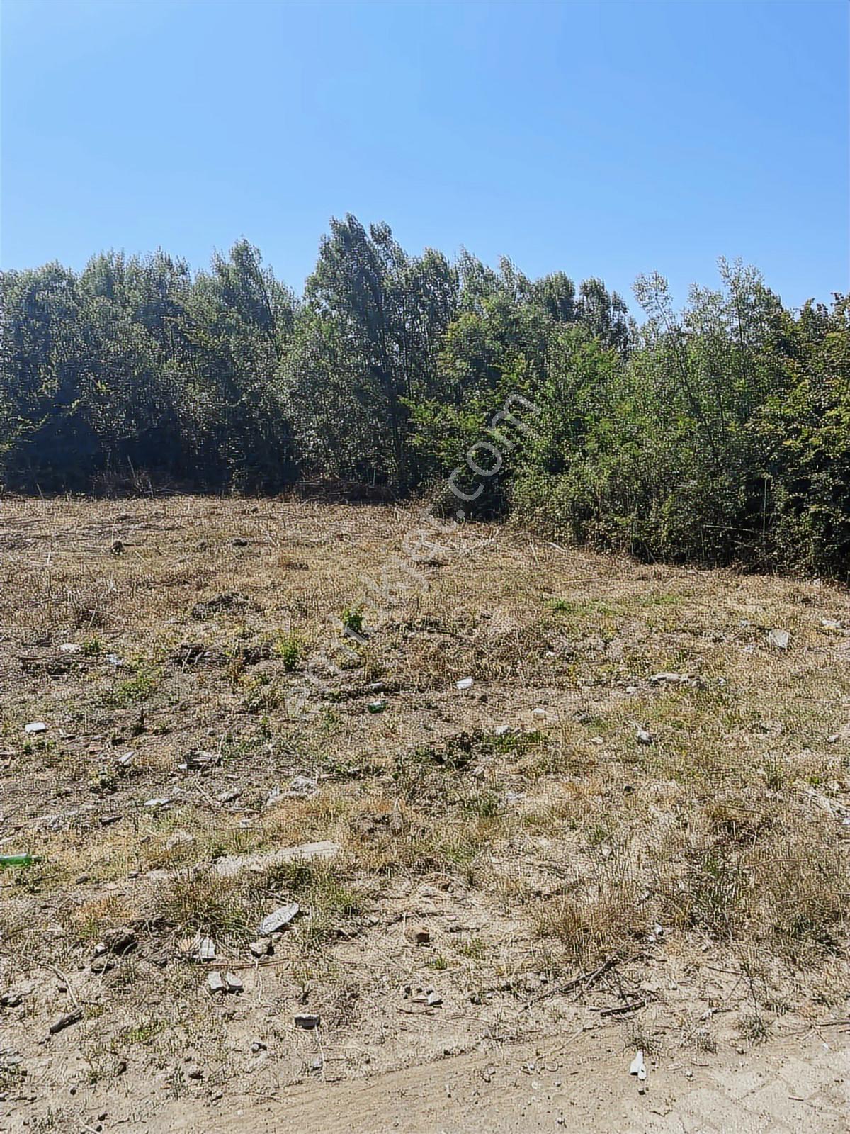Orta Mahallede Satılık 460 M2 Fırsat Köşe Parsel - Görsel 11
