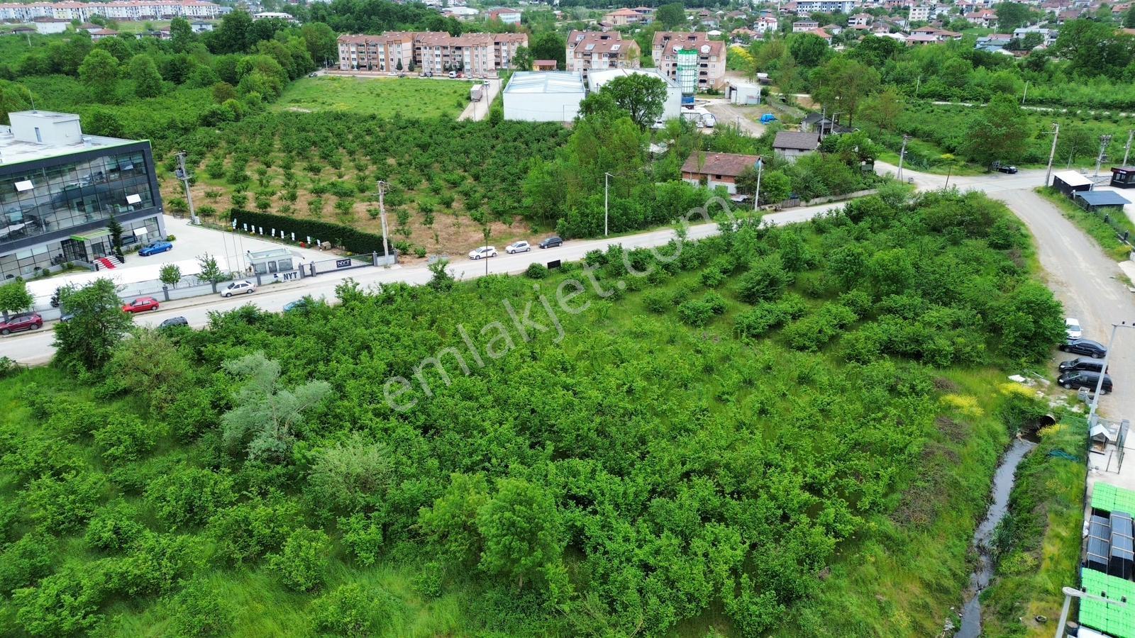 Cumayeri Sanayi Bölgesinde 4.072 M² Satılık Sanayi İmarlı Arsa - Görsel 10