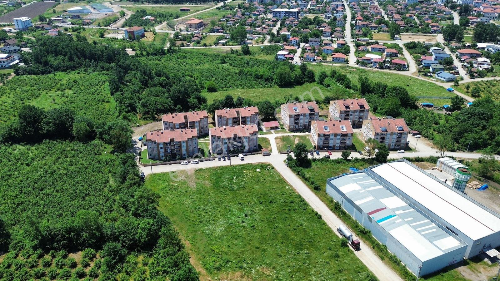 Cumayeri Çevrik Mahallesinde 3 Kat İmarlı Köşe Parsel Satılık - Görsel 11