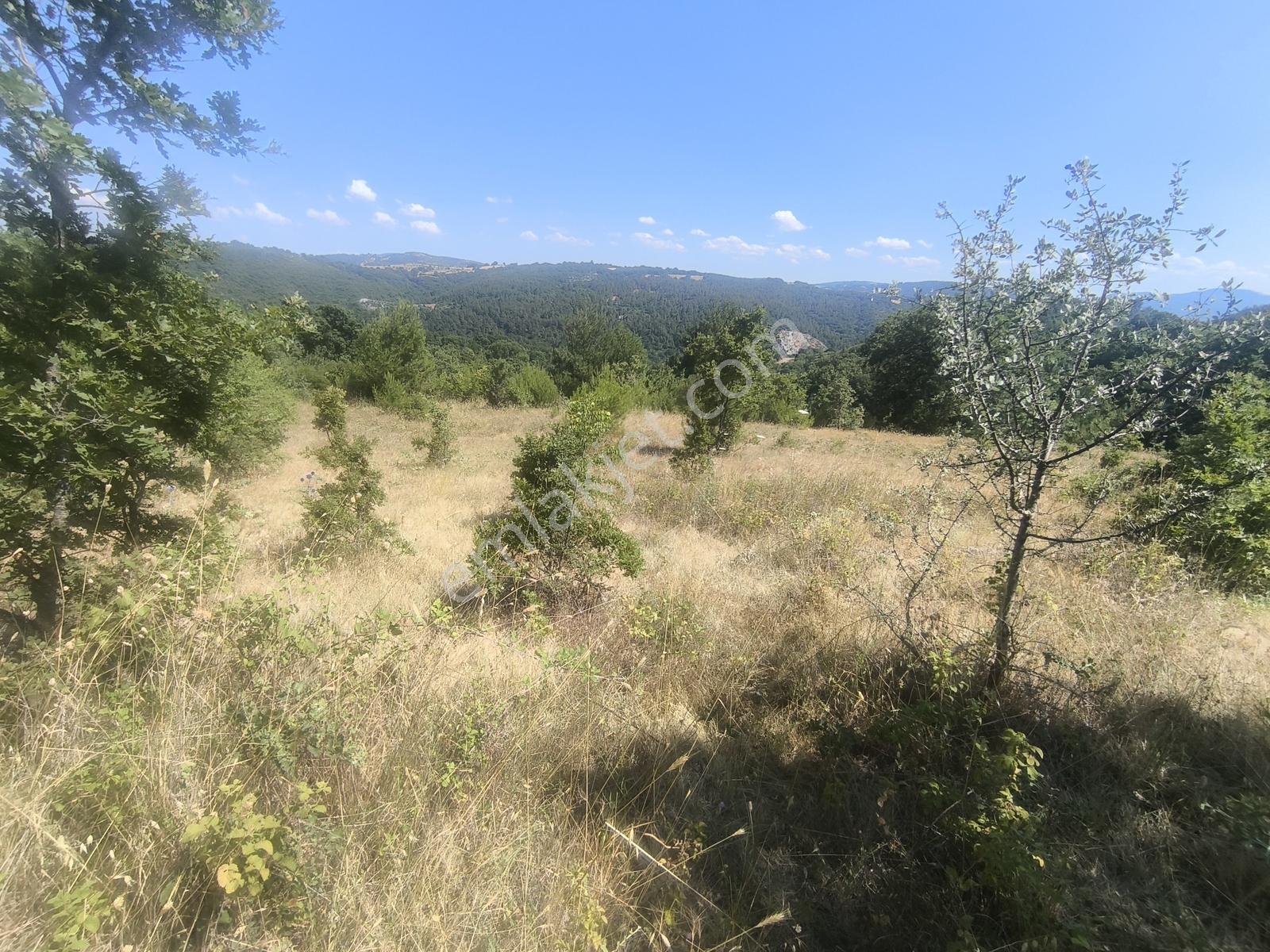 Balya Kaya Emlak.balya Ören'de Satılık 9.300 M2 Tarla - Görsel 4