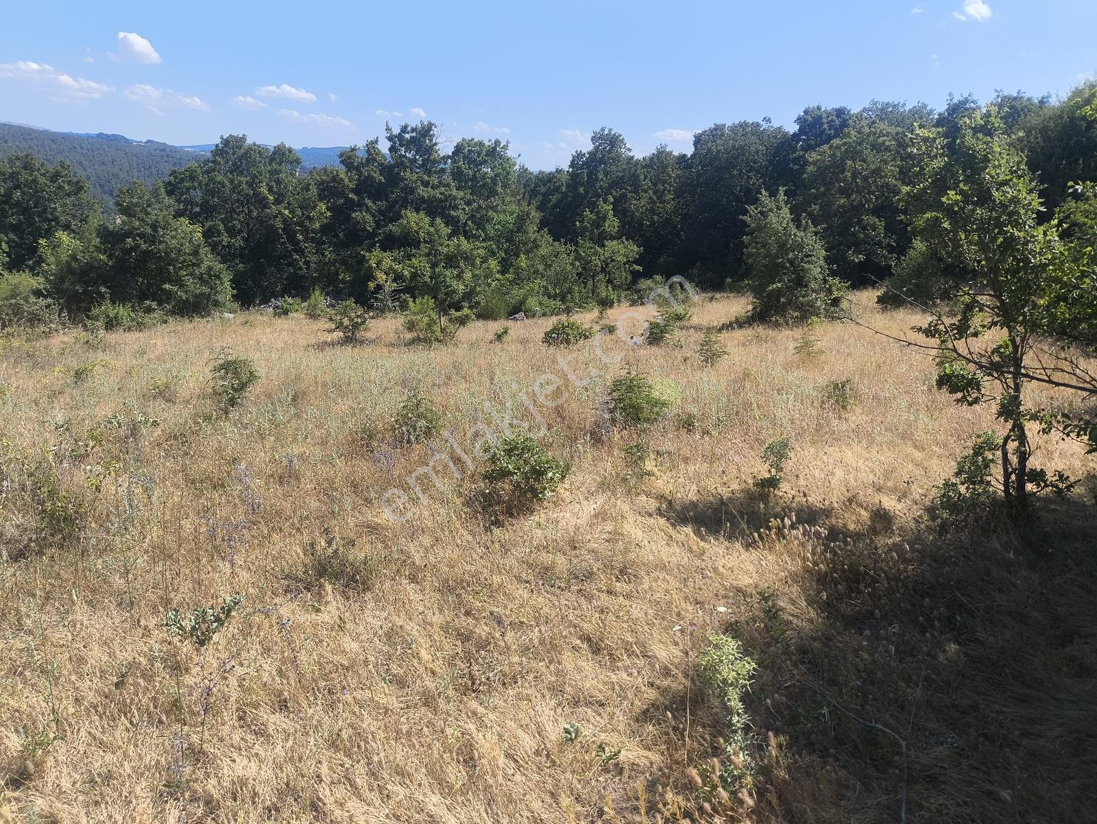 Balya Kaya Emlak.balya Ören'de Satılık 9.300 M2 Tarla