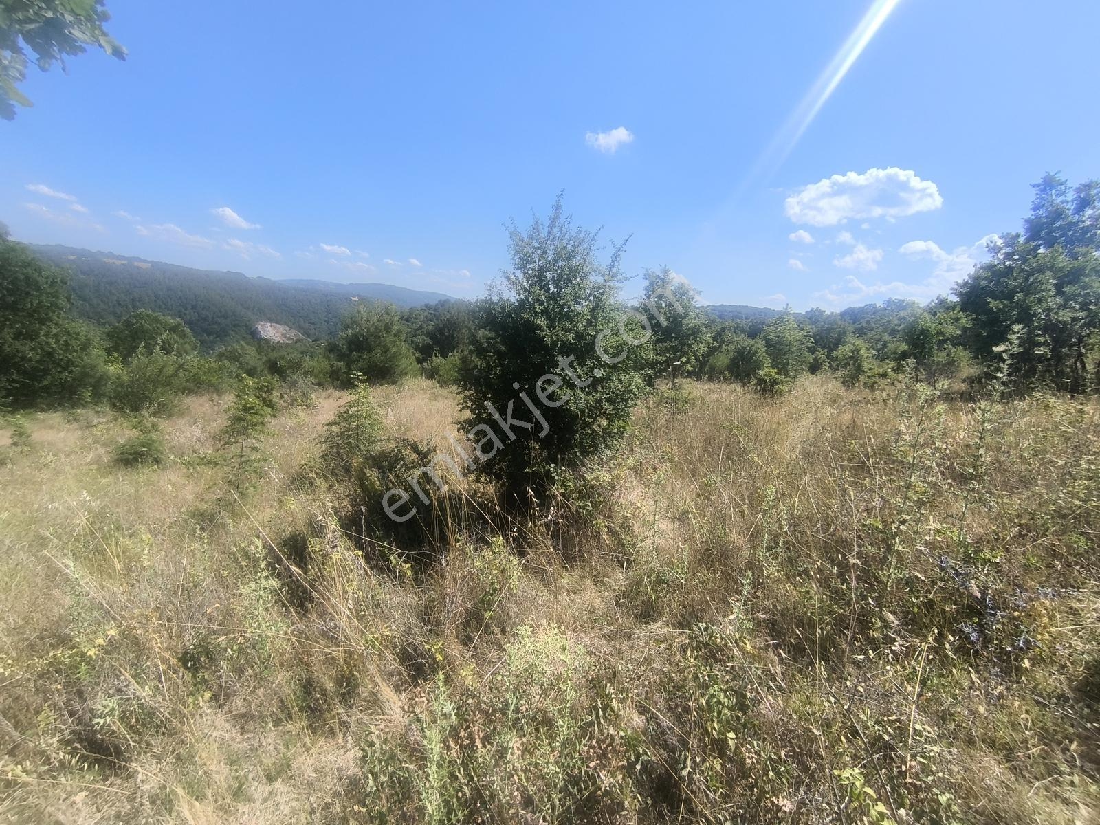 Balya Kaya Emlak.balya Ören'de Satılık 9.300 M2 Tarla - Görsel 3