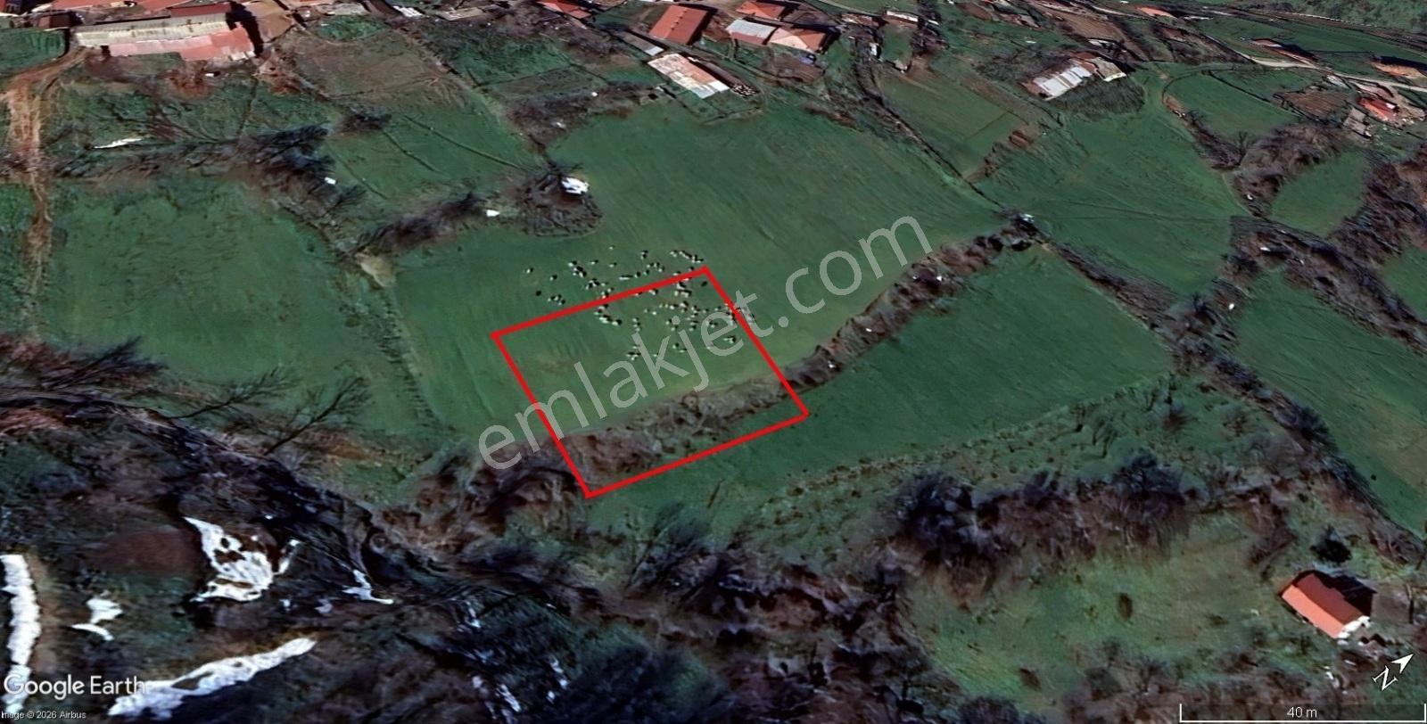 Canik Devgeriş'te Satılık 1780 M2 Arsa (tek Hisseli)