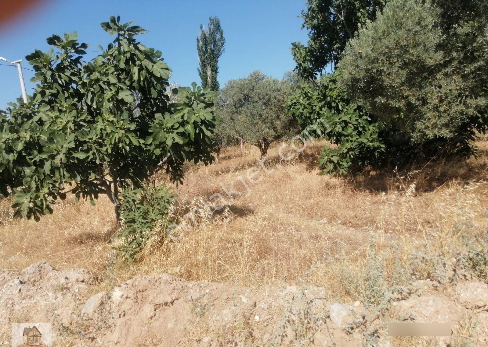 İzmir Torbalı Gold Emlaktan Satılık Konut İmarlı Arsa - Görsel 5