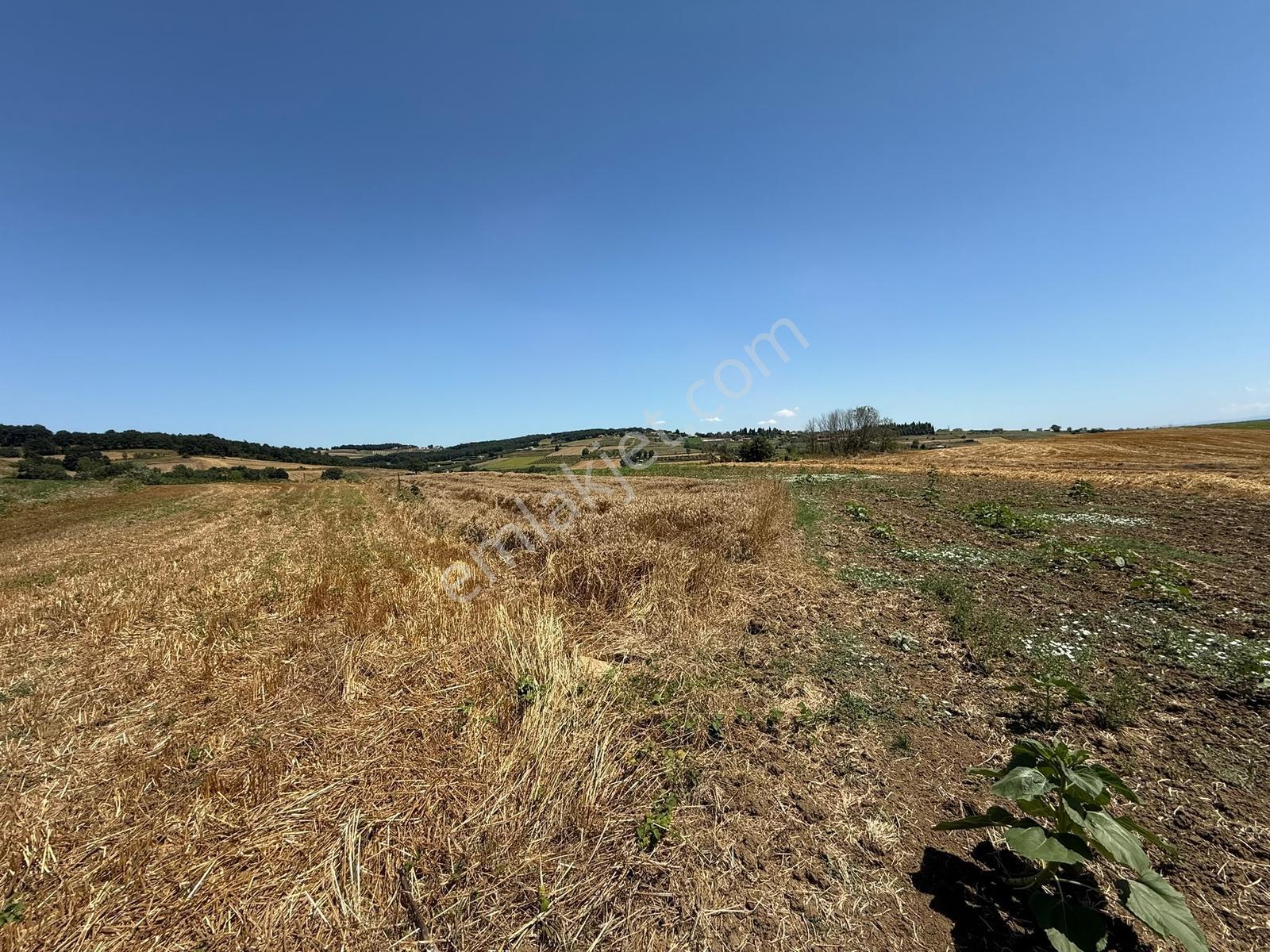 Adapazarı Aşırlarda 1640m2 Göl Manzaralı Fırsat - Görsel 23