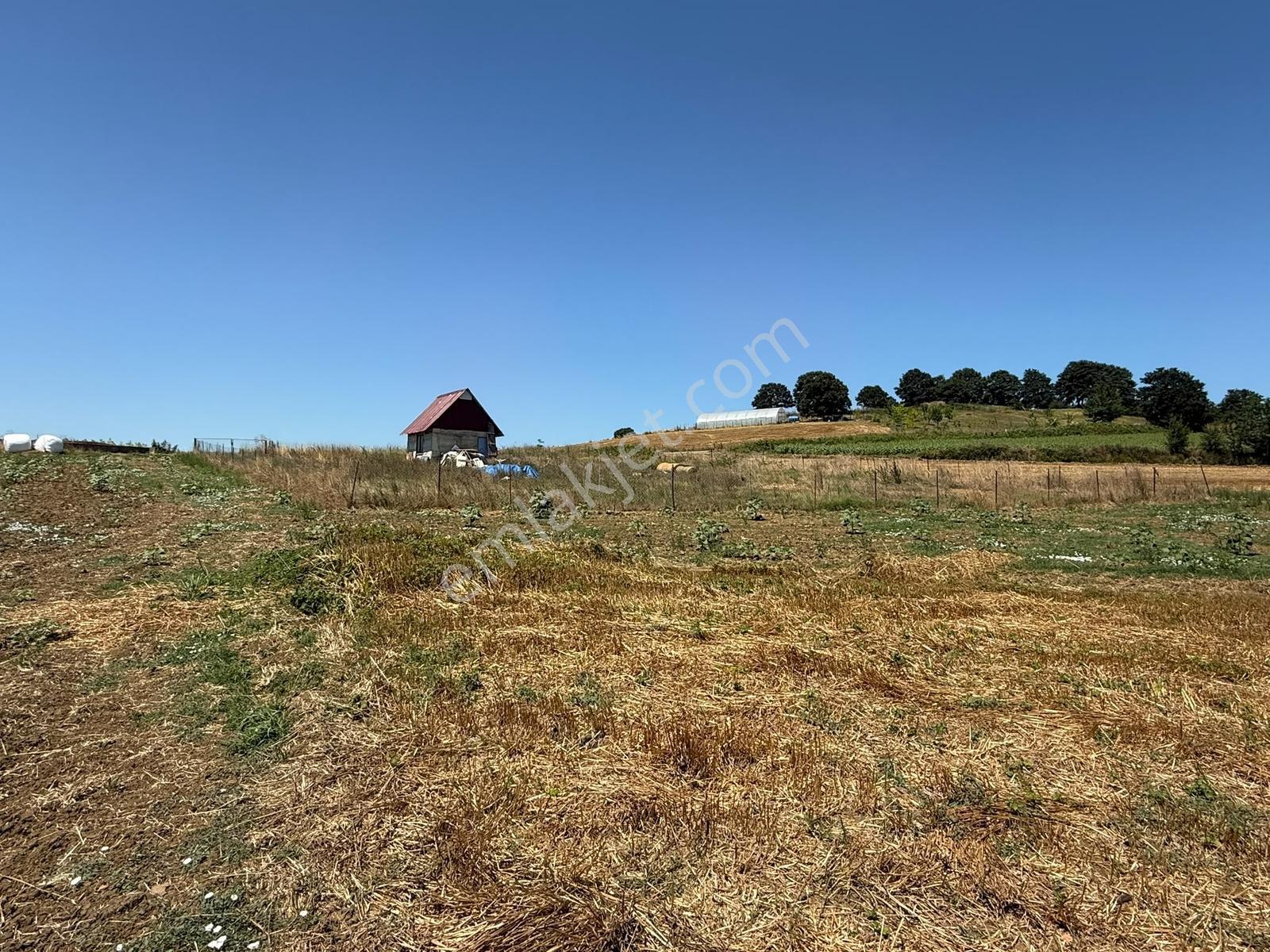 Adapazarı Aşırlarda 1640m2 Göl Manzaralı Fırsat - Görsel 24
