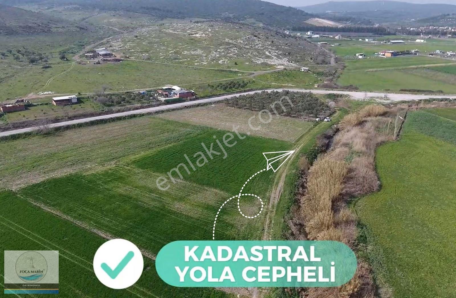 Aliağa Helvacı'da 9.896 M² Düz Ve Verimli Tarla - Görsel 5