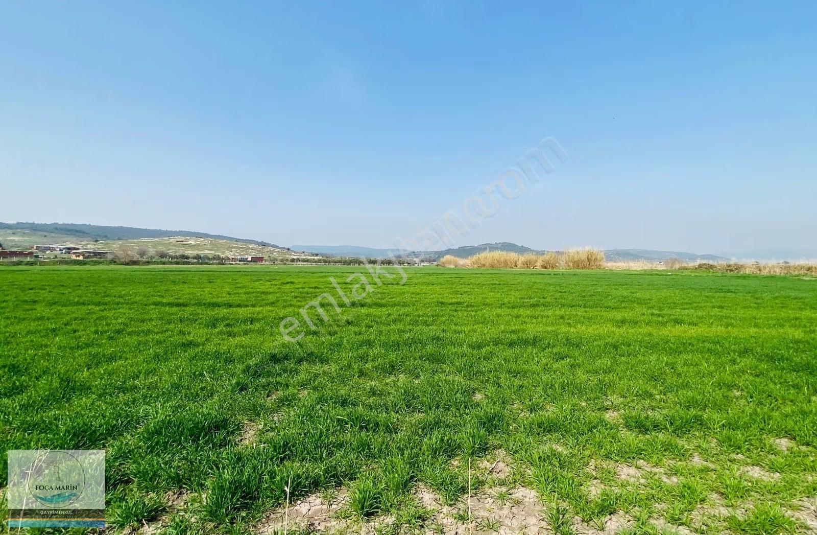 Aliağa Helvacı'da 9.896 M² Düz Ve Verimli Tarla - Görsel 3