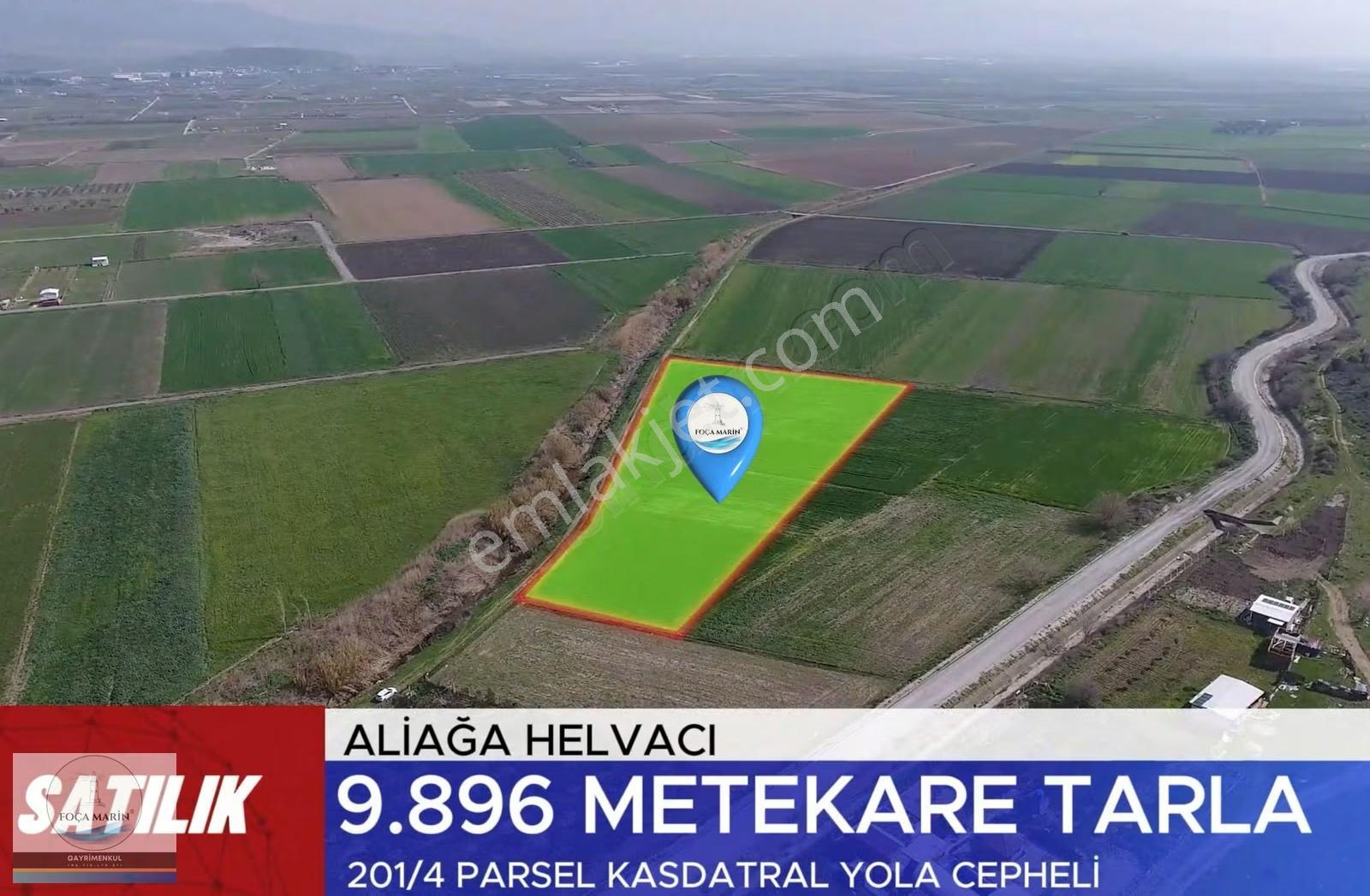 Aliağa Helvacı'da 9.896 M² Düz Ve Verimli Tarla