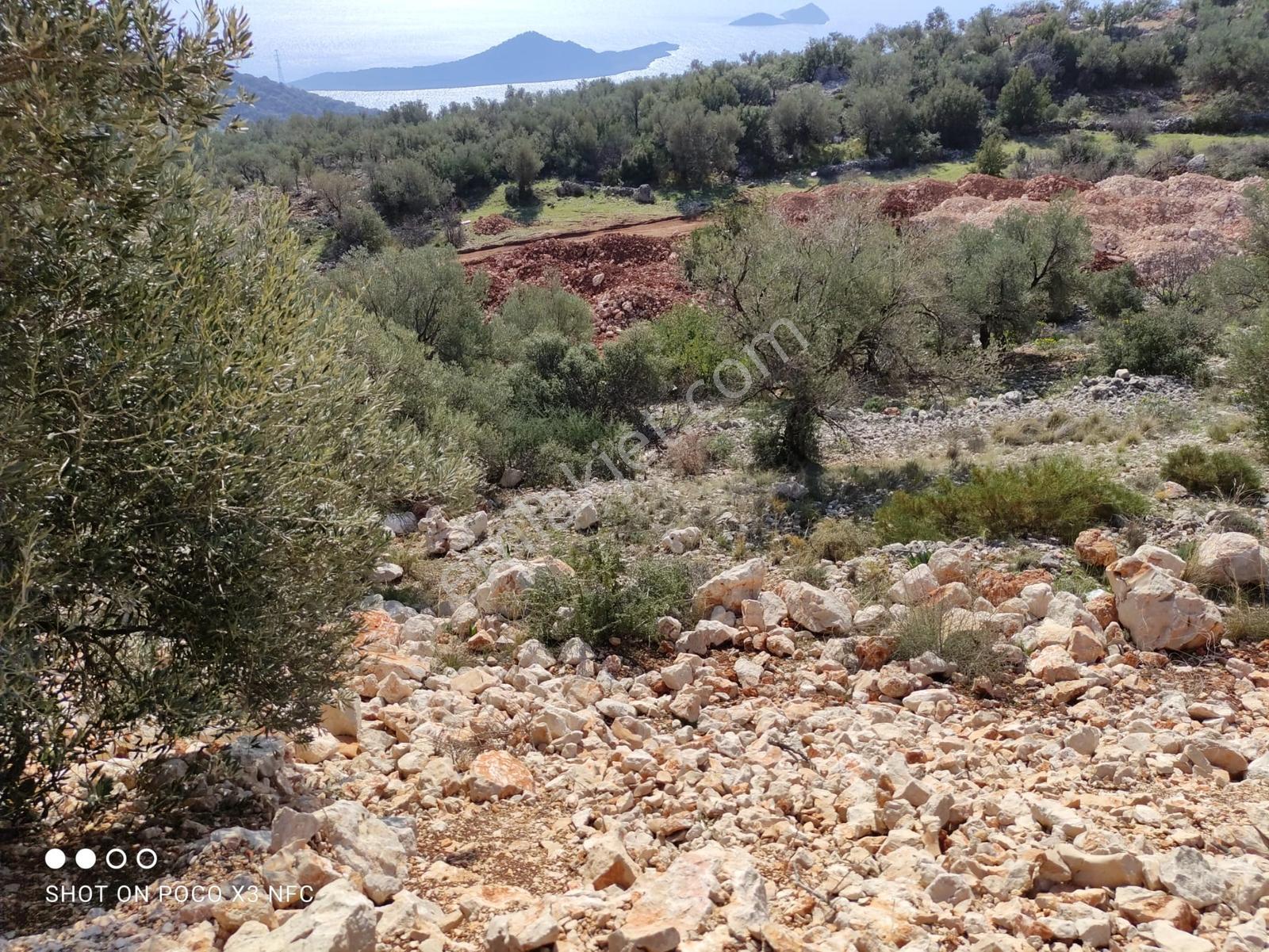 Kaş Bezirganda Kaputaş Plajına 1 Km Mesafede Müstakil Tapu - Görsel 12