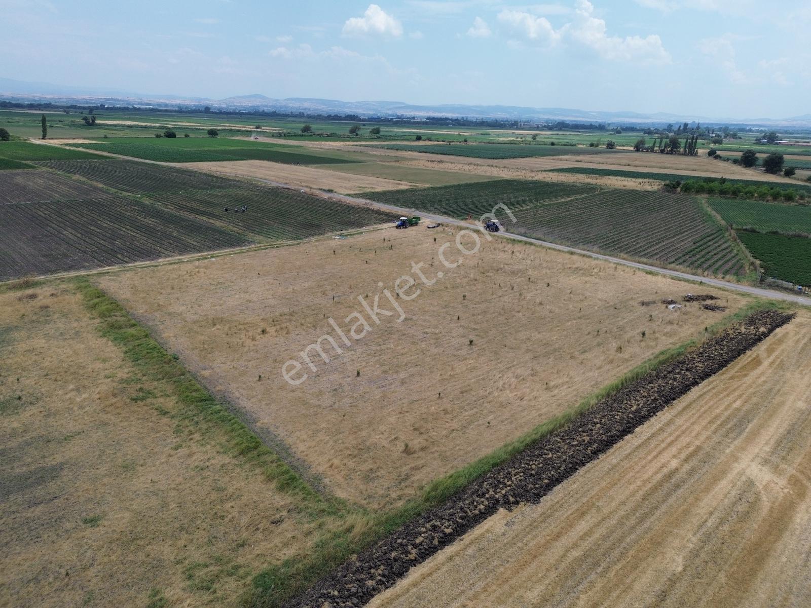 Halalca Mahallesi Kadastral Yola Cepheli 5770m² Yatırımlık Tarla - Görsel 8