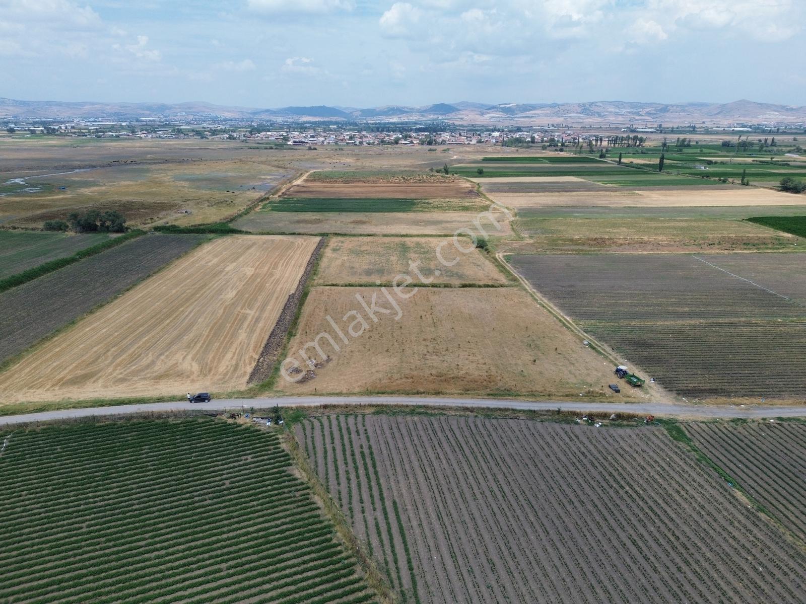 Halalca Mahallesi Kadastral Yola Cepheli 5770m² Yatırımlık Tarla - Görsel 10