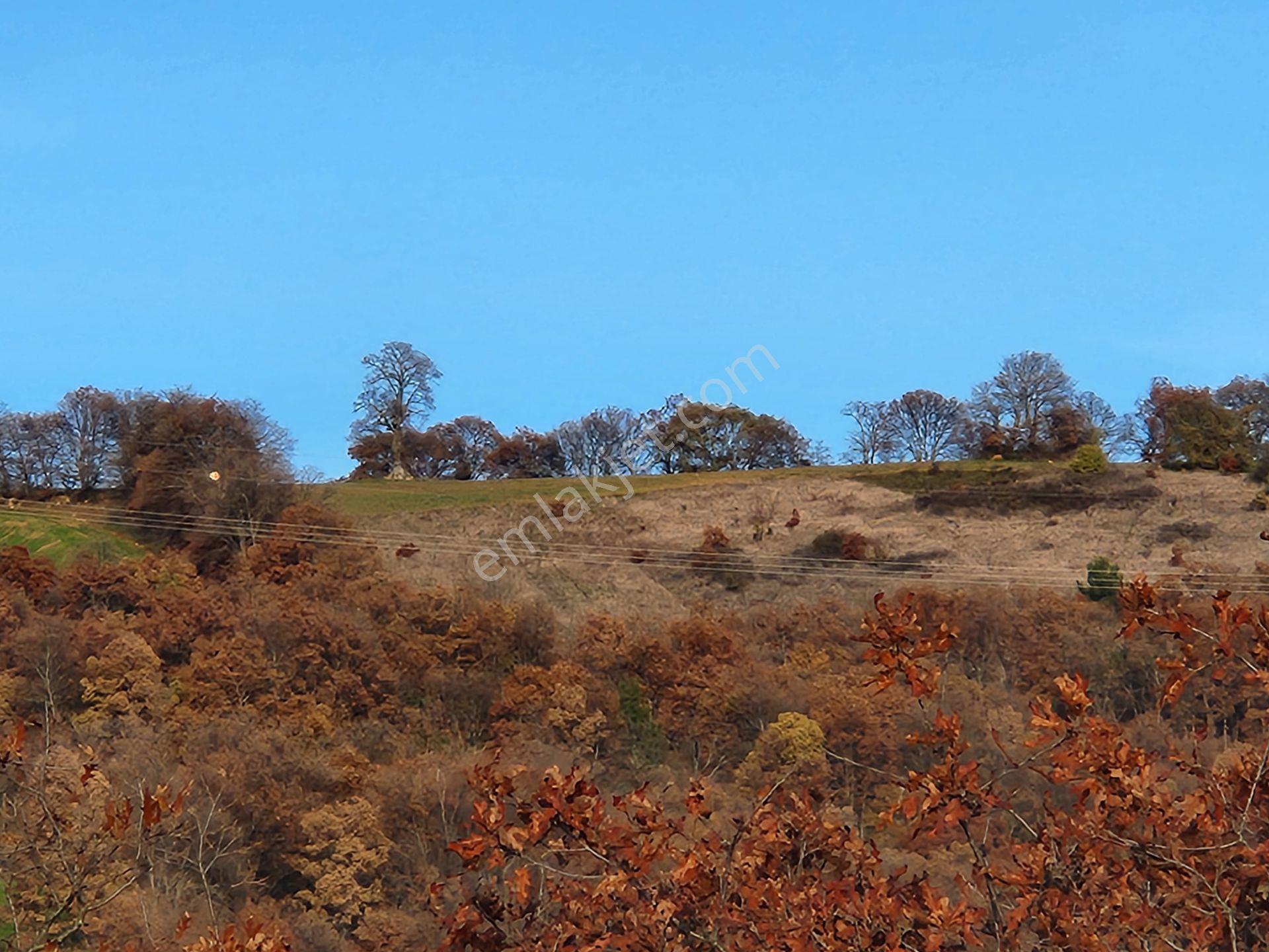 Çanakkale Kaz Dağlarının Eteklerinde 7.000 M2 Satılık Arazi - Görsel 14