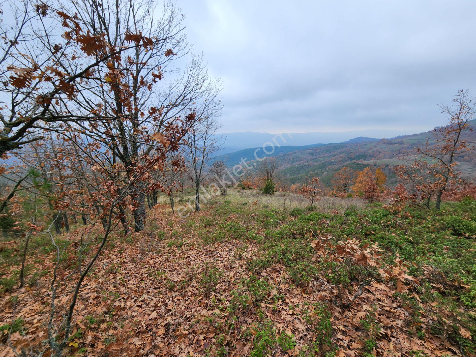 Çanakkale Yenice 8.200 M2 Satılık Arazi - Görsel 8
