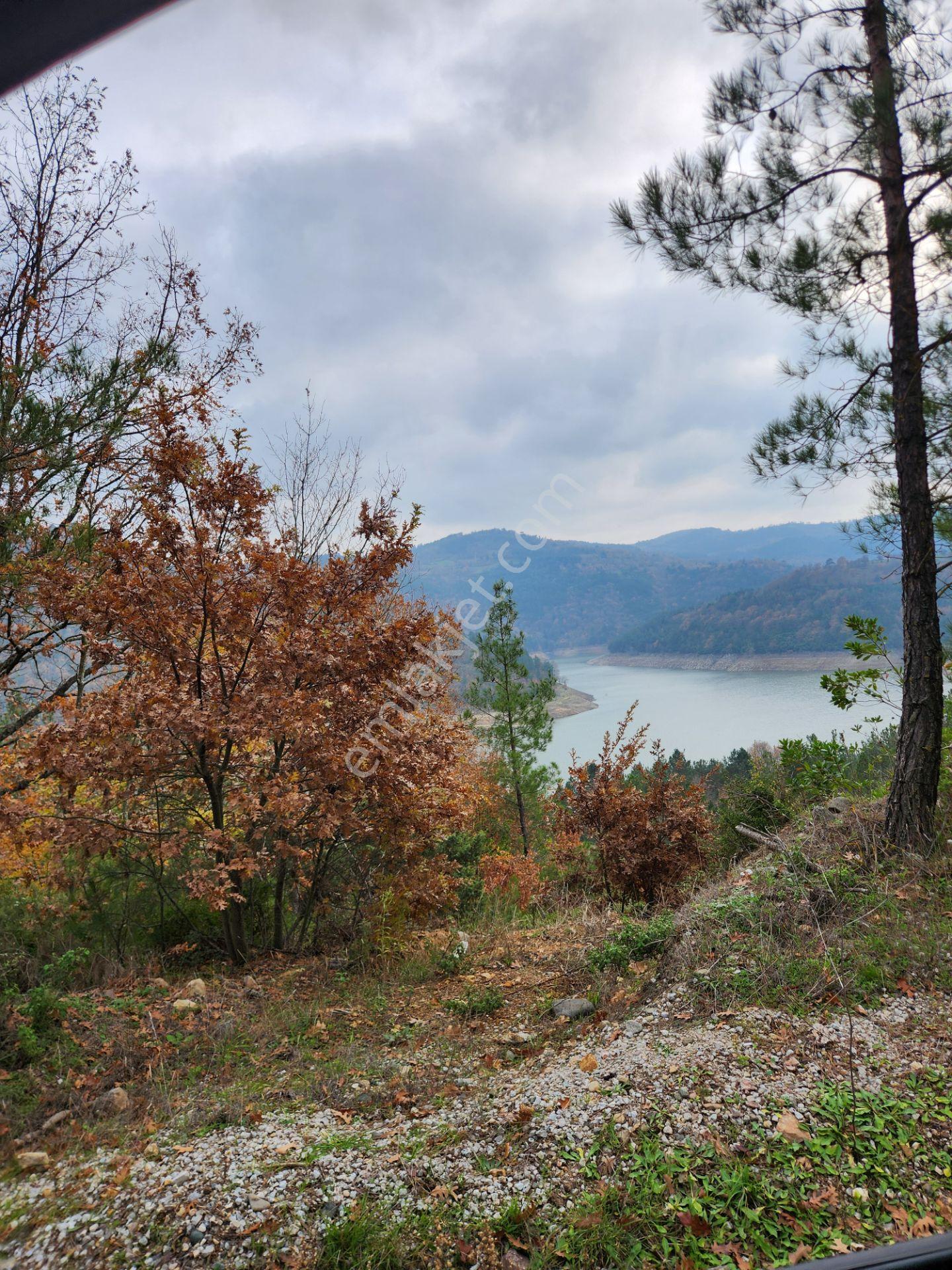 Çanakkale Yenice 26.000 M2 Satılık Arazi - Görsel 16