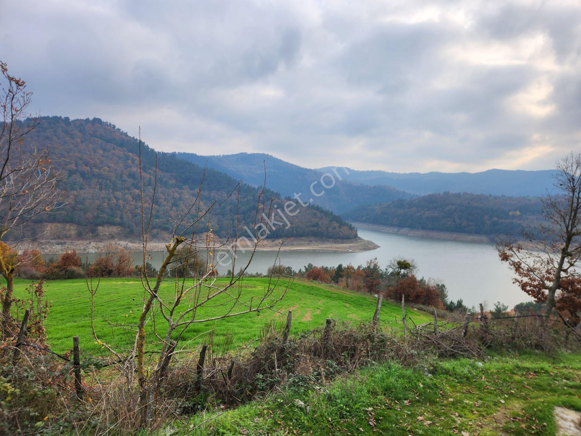 Çanakkale Yenice 26.000 M2 Satılık Arazi - Görsel 18