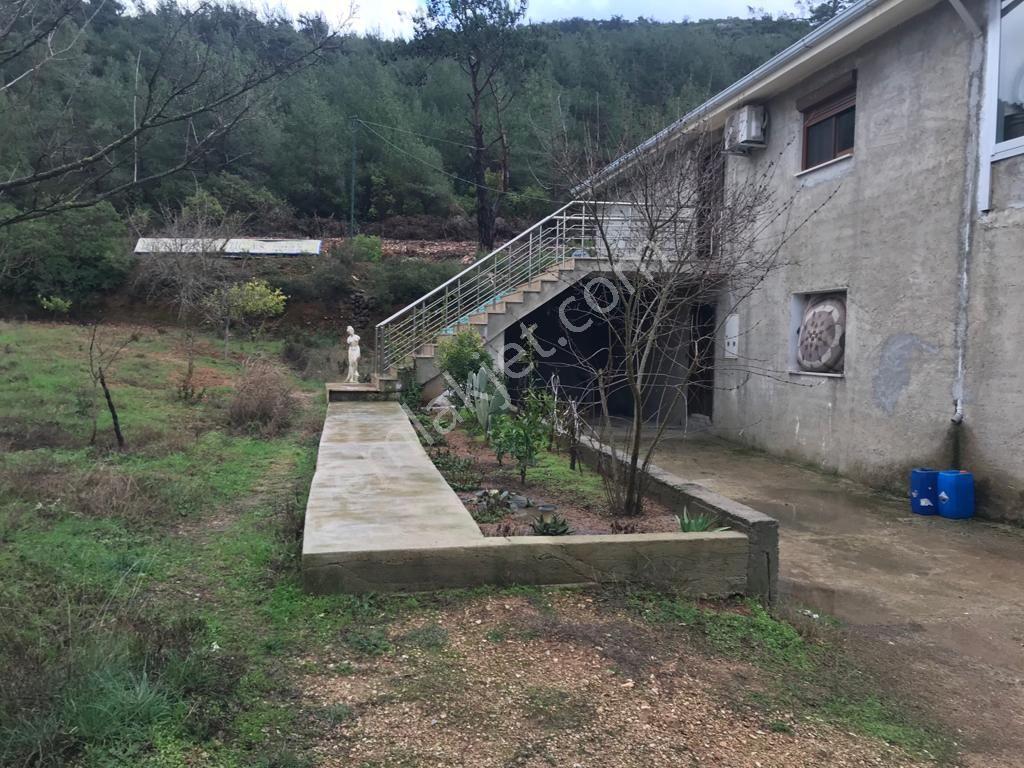 Kuşadası Yeniköy'de Doğa İle İç İçe Deniz Manzaralı Çiftlik - Görsel 22