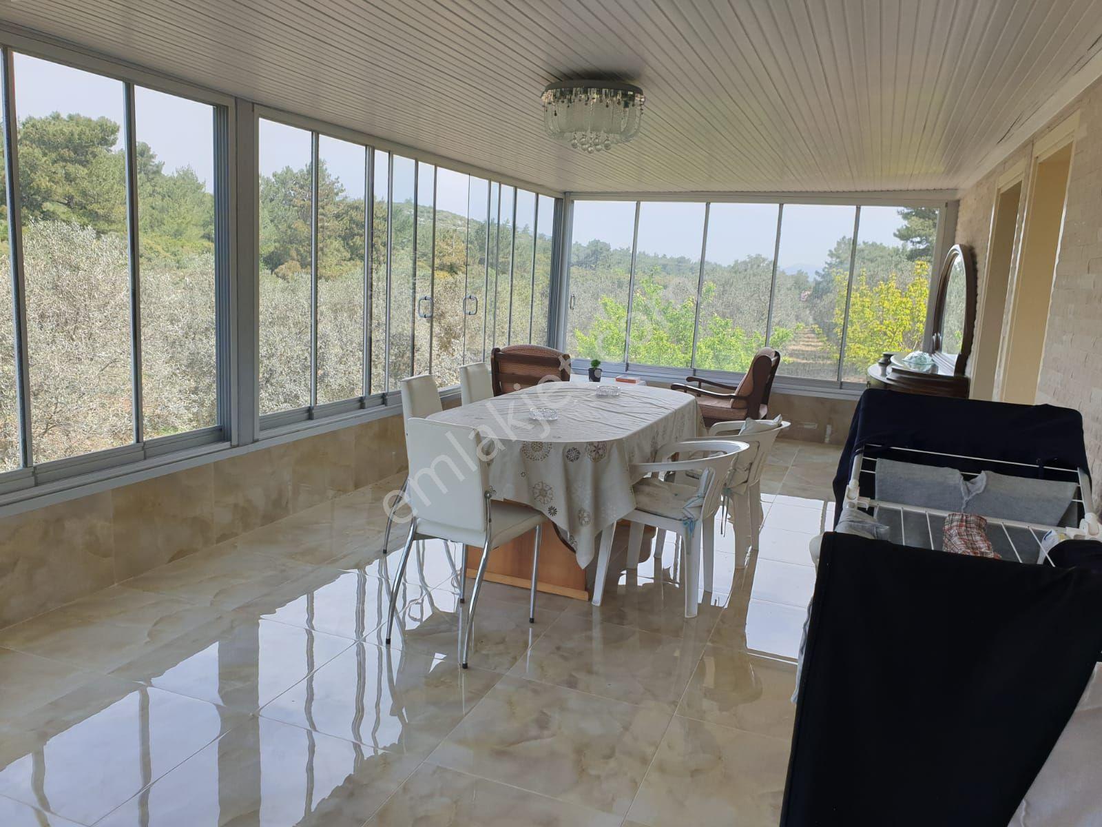 Kuşadası Yeniköy'de Doğa İle İç İçe Deniz Manzaralı Çiftlik - Görsel 14