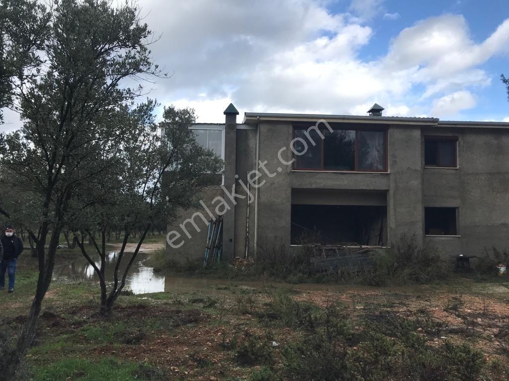 Kuşadası Yeniköy'de Doğa İle İç İçe Deniz Manzaralı Çiftlik - Görsel 27