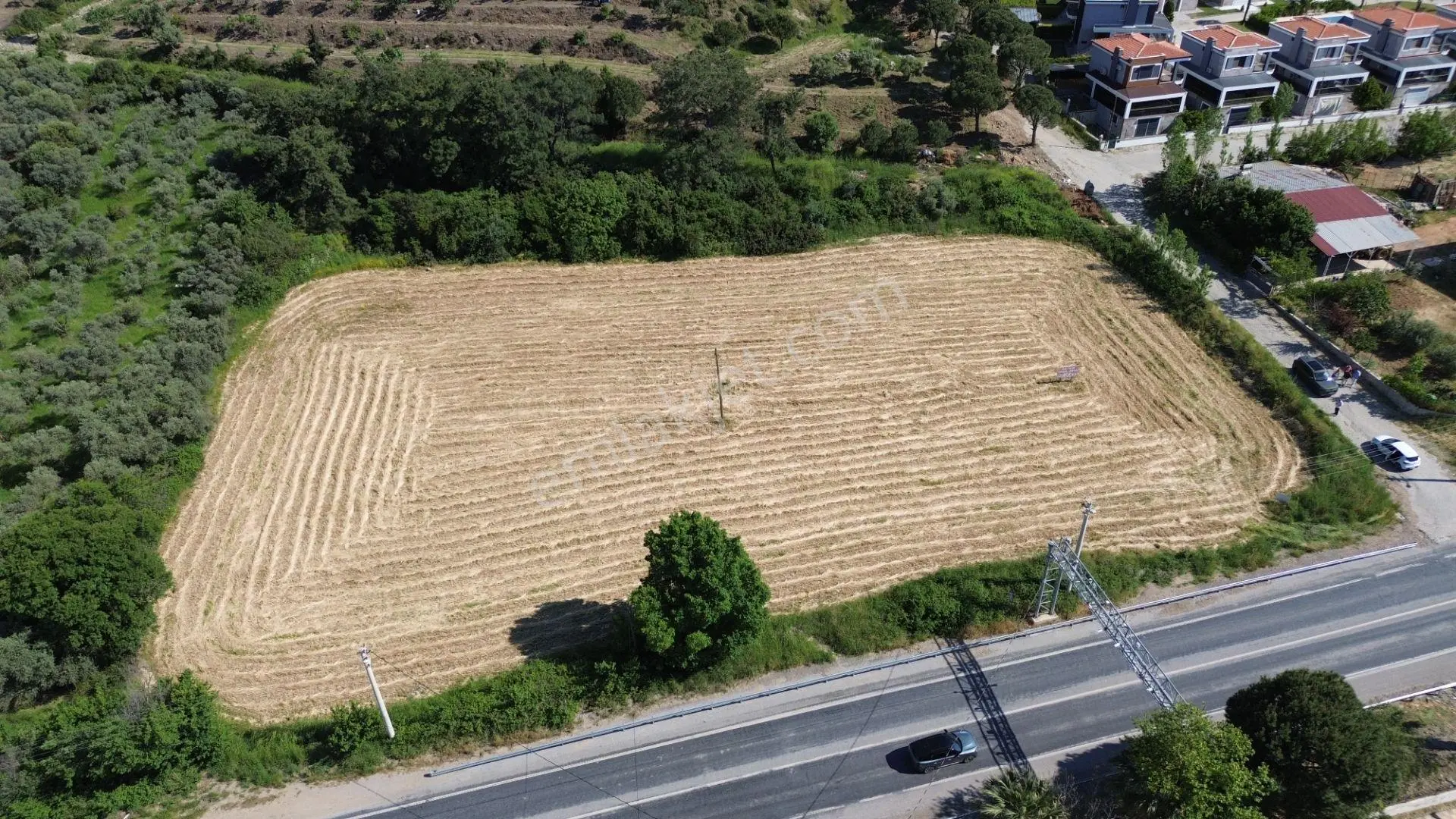 Davutlar Kaynaklar Mevkiinde 3.365 M² Satılık Arsa - Görsel 4