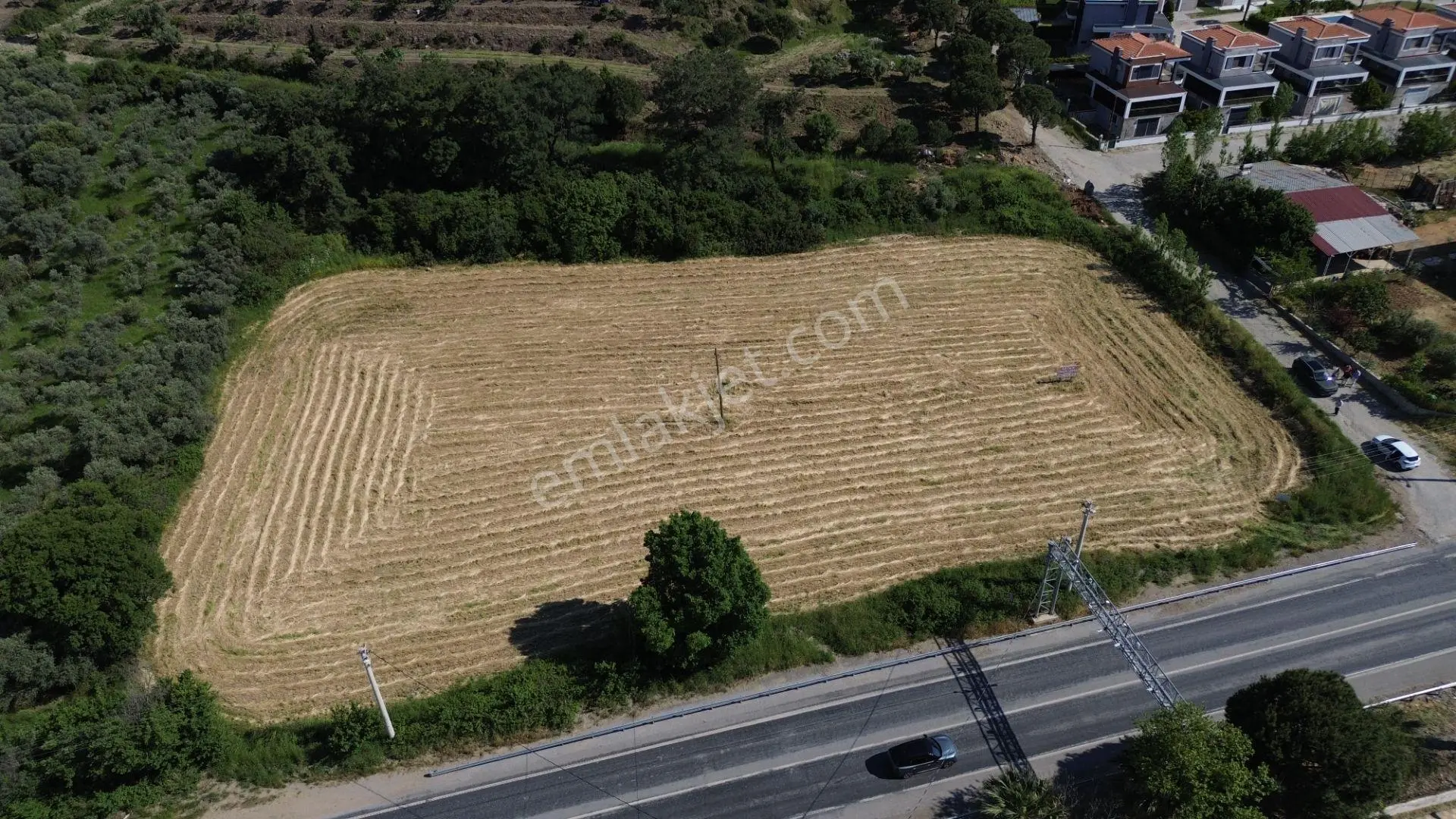 Davutlar Kaynaklar Mevkiinde 3.365 M² Satılık Arsa - Görsel 2