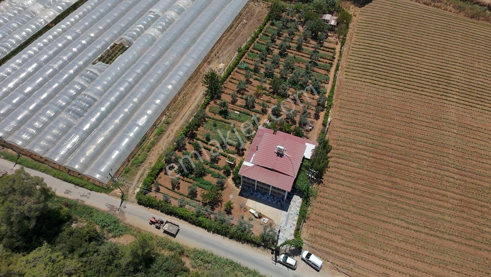 Menderes Çamönü'nde Tek Tapu 2,919 M² Tarla İçinde 150 M2 Müstakil Ev - Görsel 4