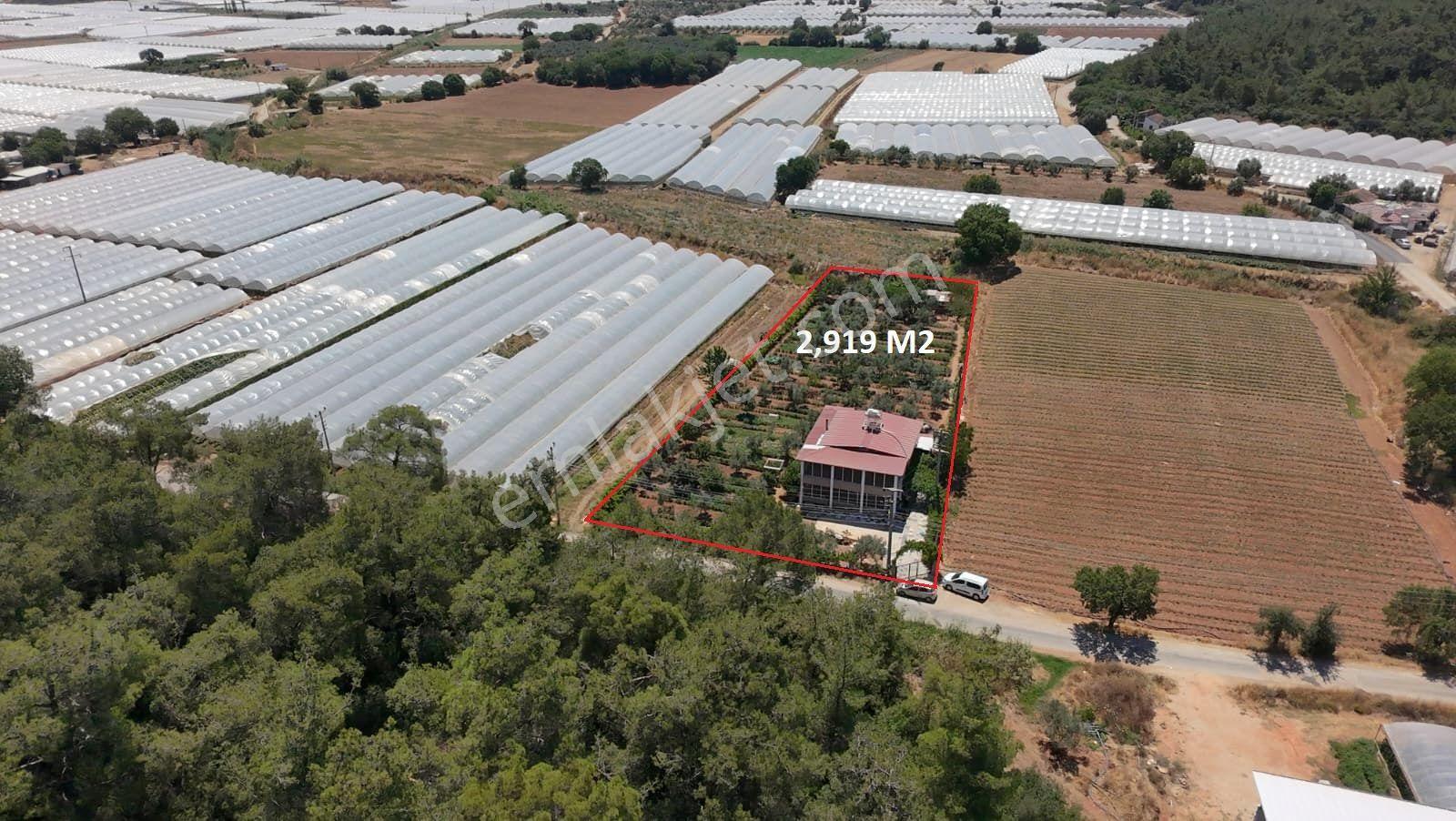 Menderes Çamönü'nde Tek Tapu 2,919 M² Tarla İçinde 150 M2 Müstakil Ev - Görsel 2
