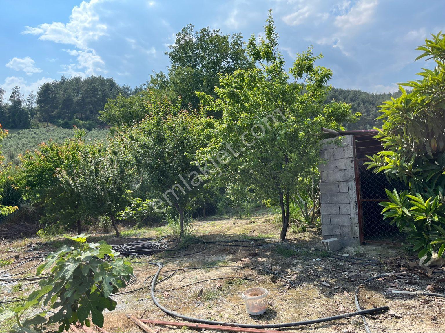 Sahibinden Satılık Bahçe - Görsel 5