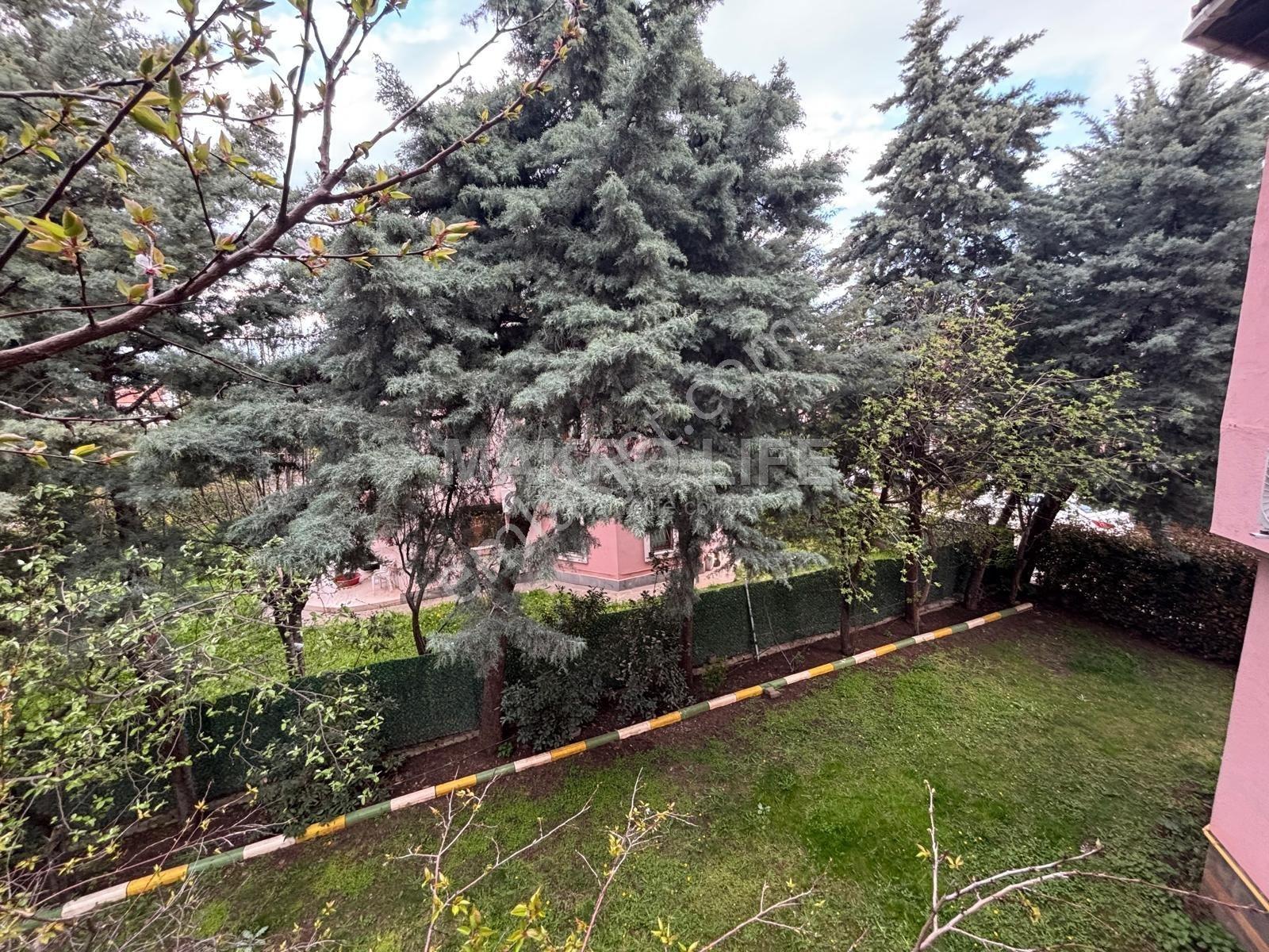 Hamravatlarda Oturmaya Hazır 5+1 Kiralık Villa - Görsel 27