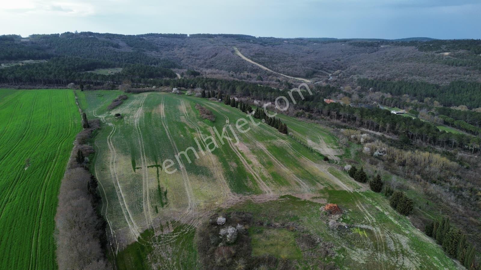 Çatalca Örcünlü 11.390 M² Gelişen Bölge Yatırımlık Fırsat Arsa - Görsel 17