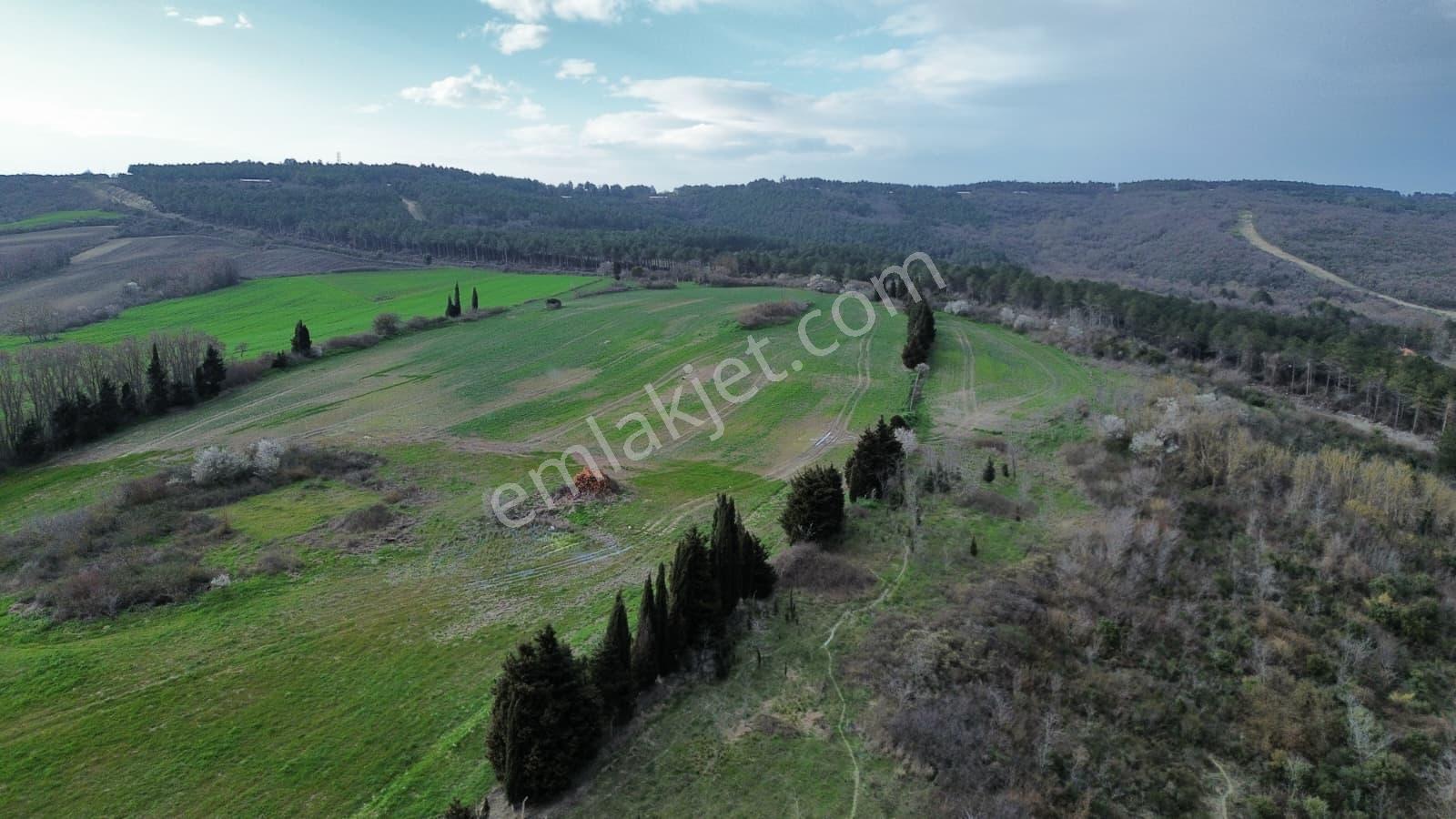Çatalca Örcünlü 11.390 M² Gelişen Bölge Yatırımlık Fırsat Arsa - Görsel 21
