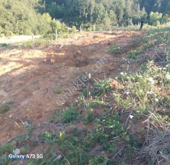 Çanakkale Çan Söğütalan'da Satılık 27.750m2 Fırsat Cevizlik - Görsel 2