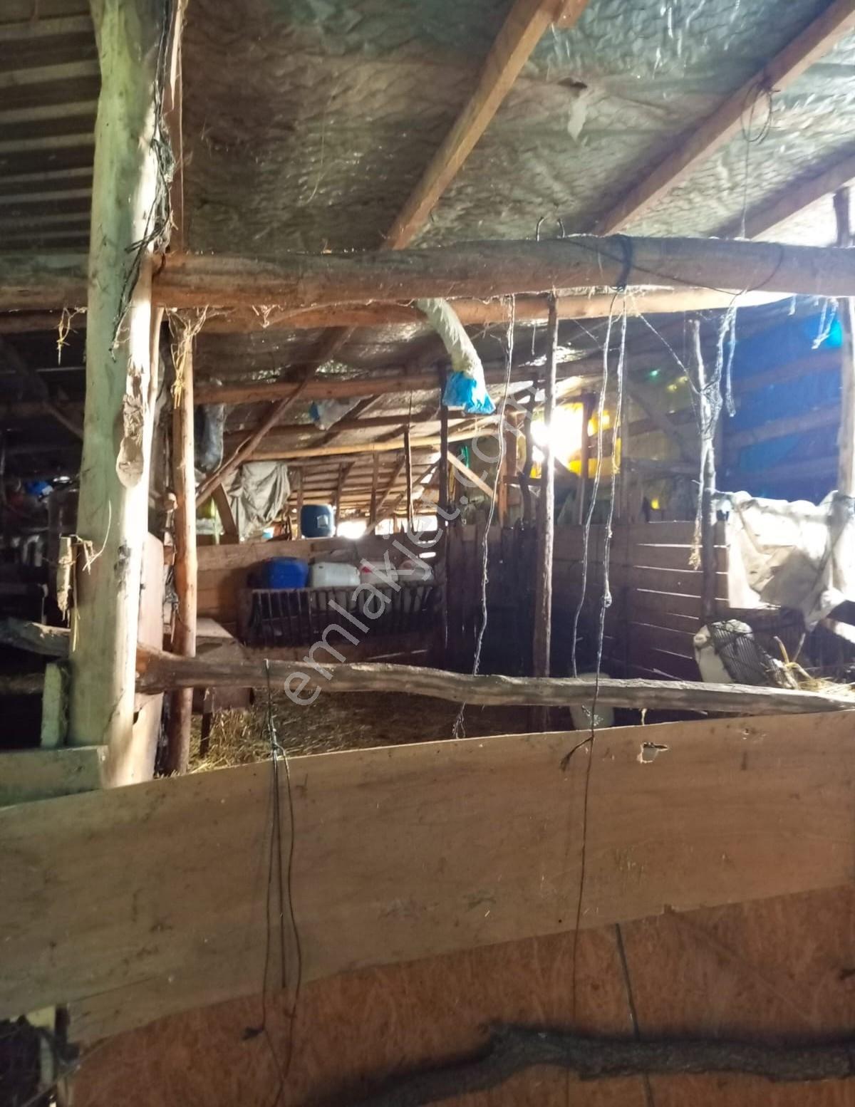 Çanakkale Çan Kalburcu Köyü Satılık Küçükbaş Çiftlik - Görsel 25