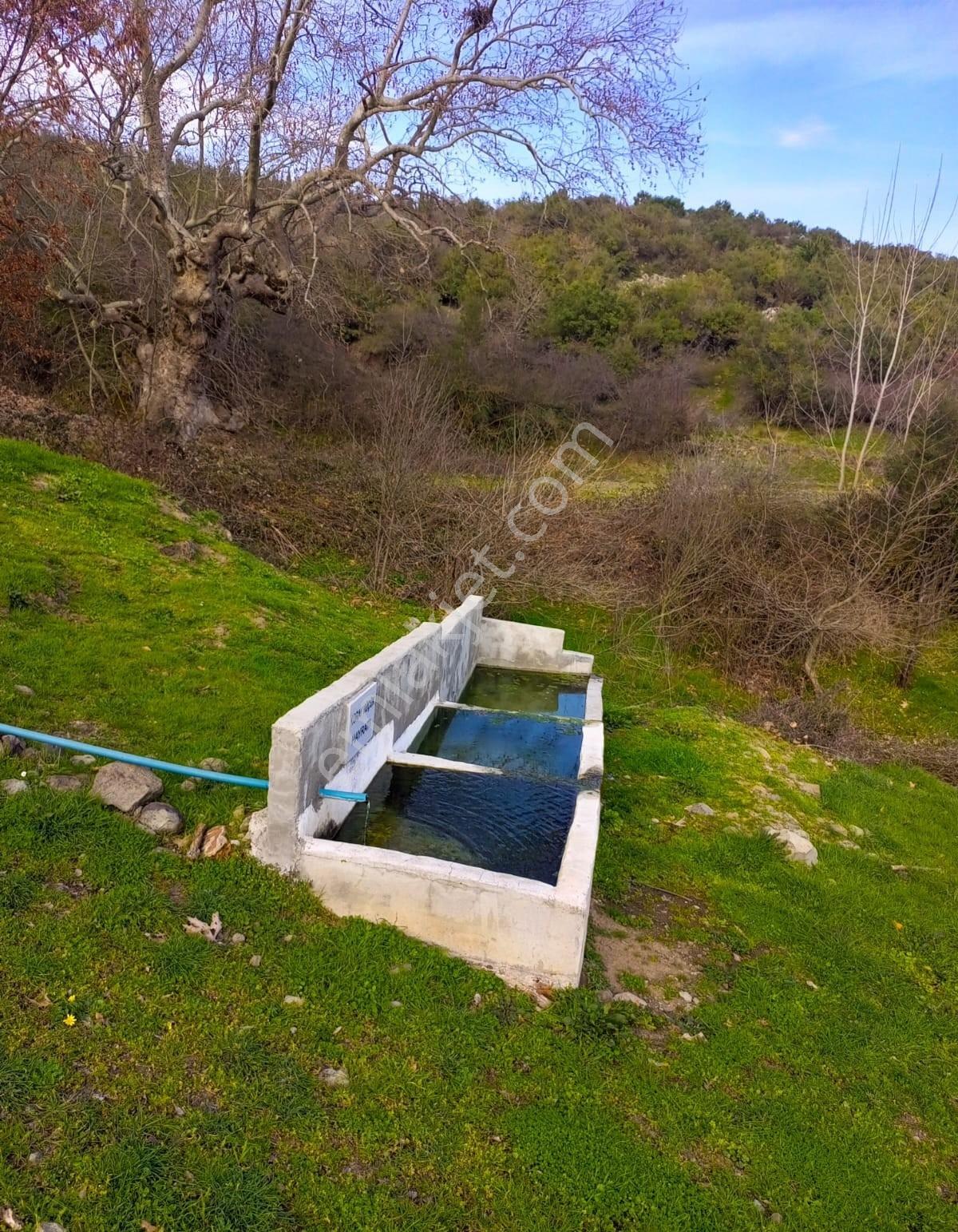 Çanakkale Çan Kalburcu Köyü Satılık Küçükbaş Çiftlik - Görsel 18