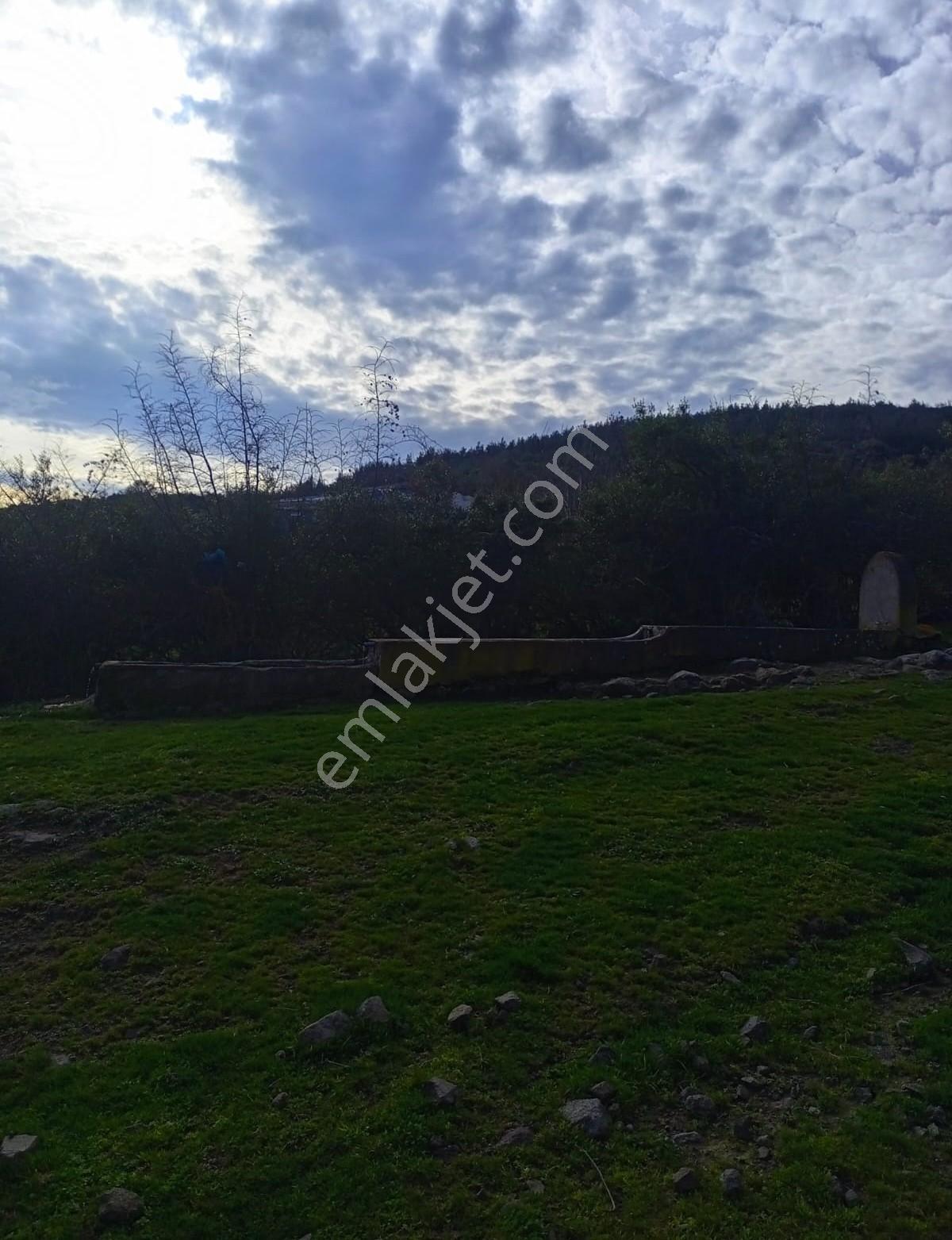 Çanakkale Çan Kalburcu Köyü Satılık Küçükbaş Çiftlik - Görsel 9