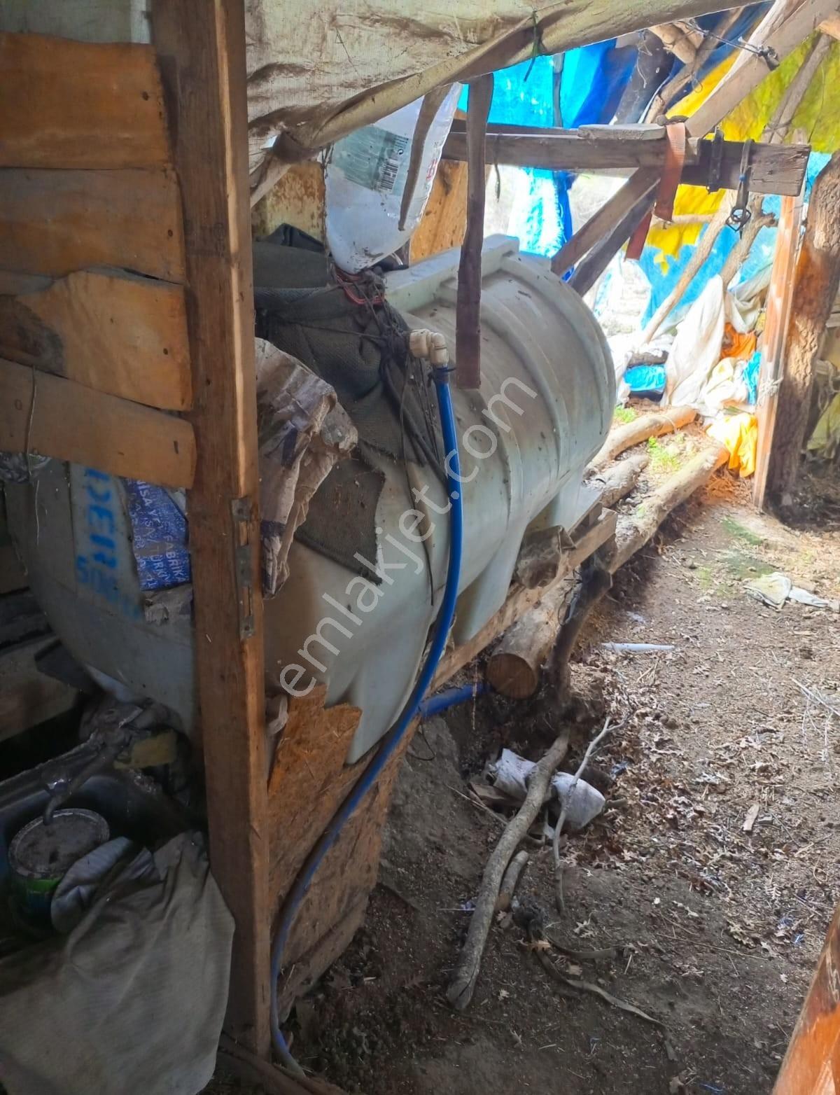 Çanakkale Çan Kalburcu Köyü Satılık Küçükbaş Çiftlik - Görsel 15