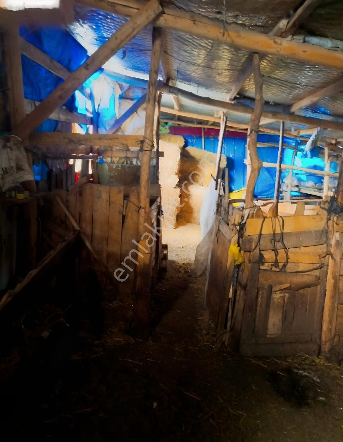 Çanakkale Çan Kalburcu Köyü Satılık Küçükbaş Çiftlik - Görsel 16