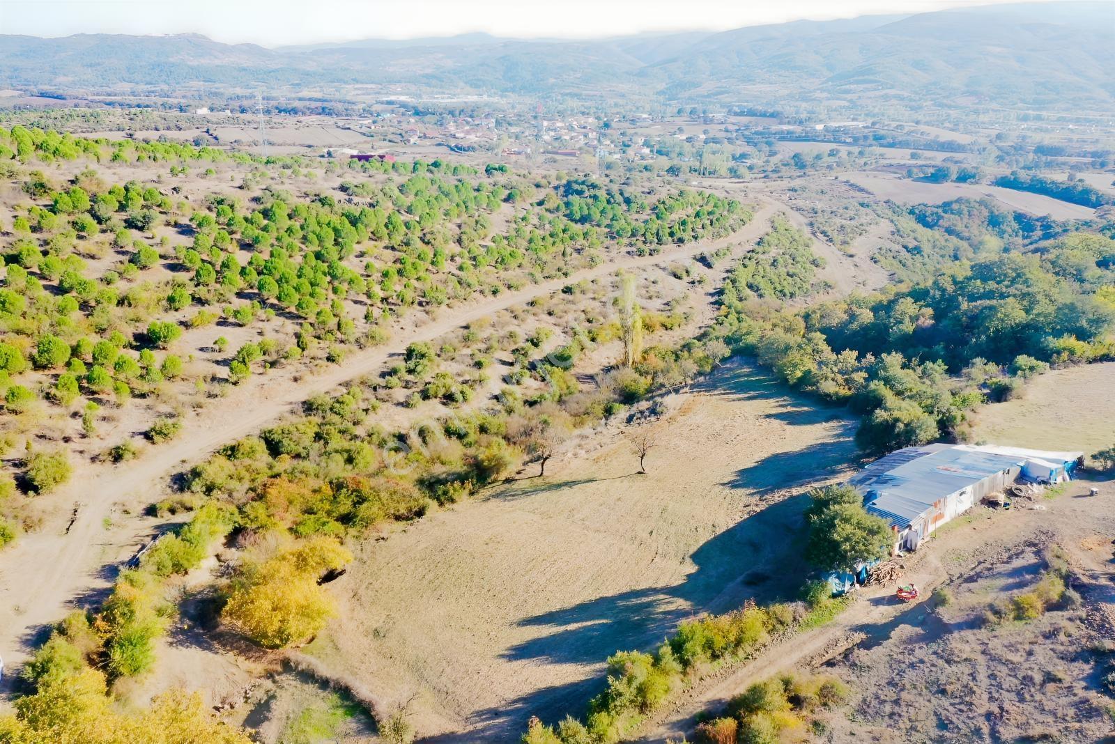 Çanakkale Çan Kalburcu Köyü Satılık Küçükbaş Çiftlik - Görsel 11