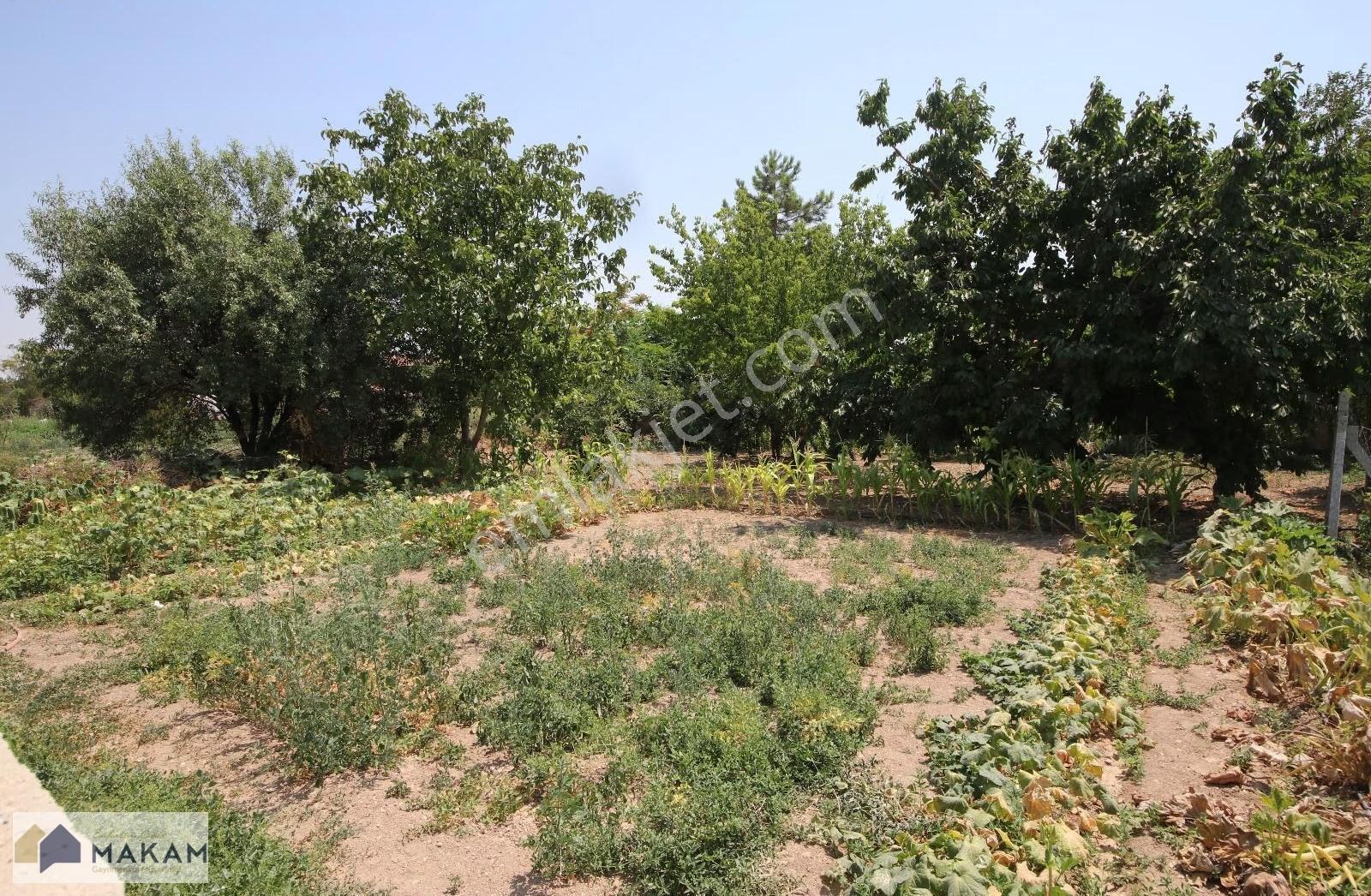 Kozağaçta 1.000m2 Arsa İçerisinde Satılık Müstakil Ev - Görsel 11