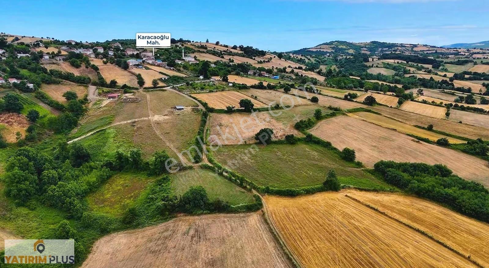 Yatırım Plus'tan 19 Mayıs'ta 21.845 M² Fındık Bahçesi Fırsatı - Görsel 8