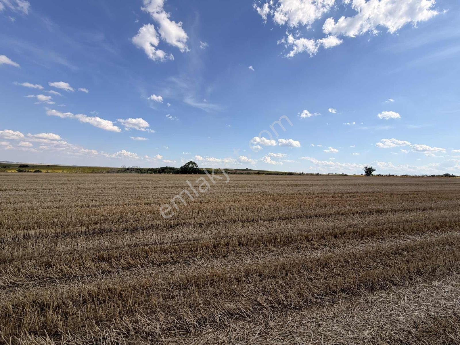 Edirne'nin En Verimli Toprağı 38.800 M2 - Görsel 7