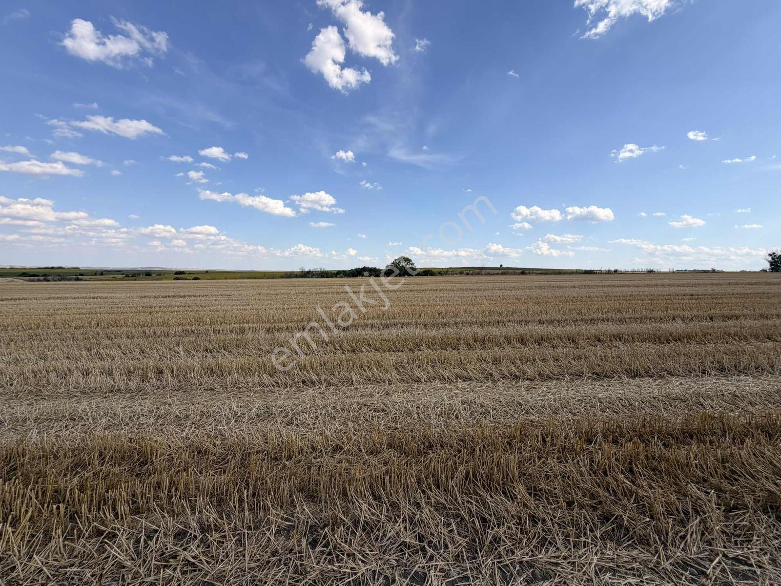 Edirne'nin En Verimli Toprağı 38.800 M2 - Görsel 12