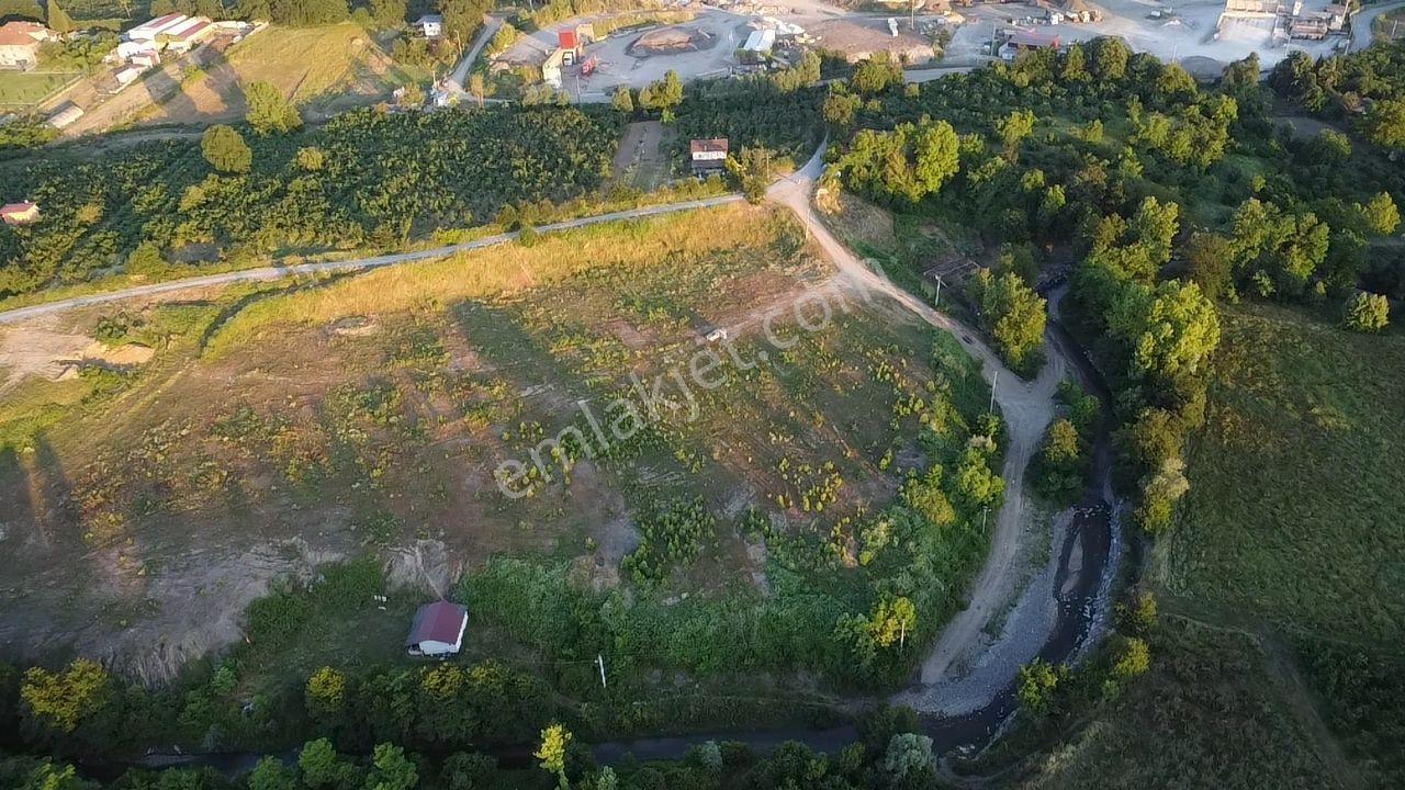 Sakarya Hendek'te 8.578 M² Verimli Fındıklık - Yatırımlık Fırsat - Görsel 14