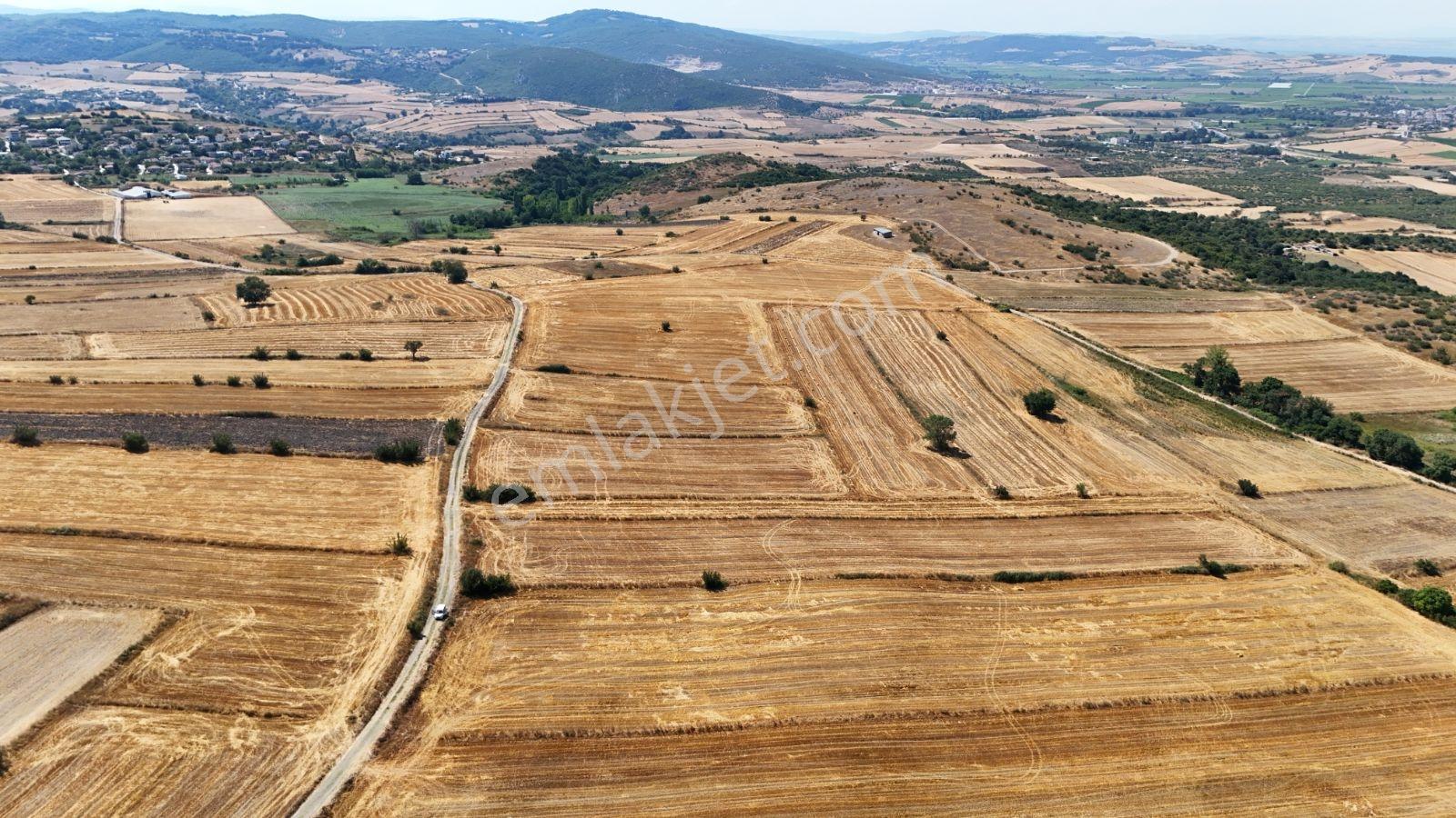 Balıkesir Manyas Cumhuriyet Te Eşsiz Manzaralı 6234m2 Fırsat Yer - Görsel 25