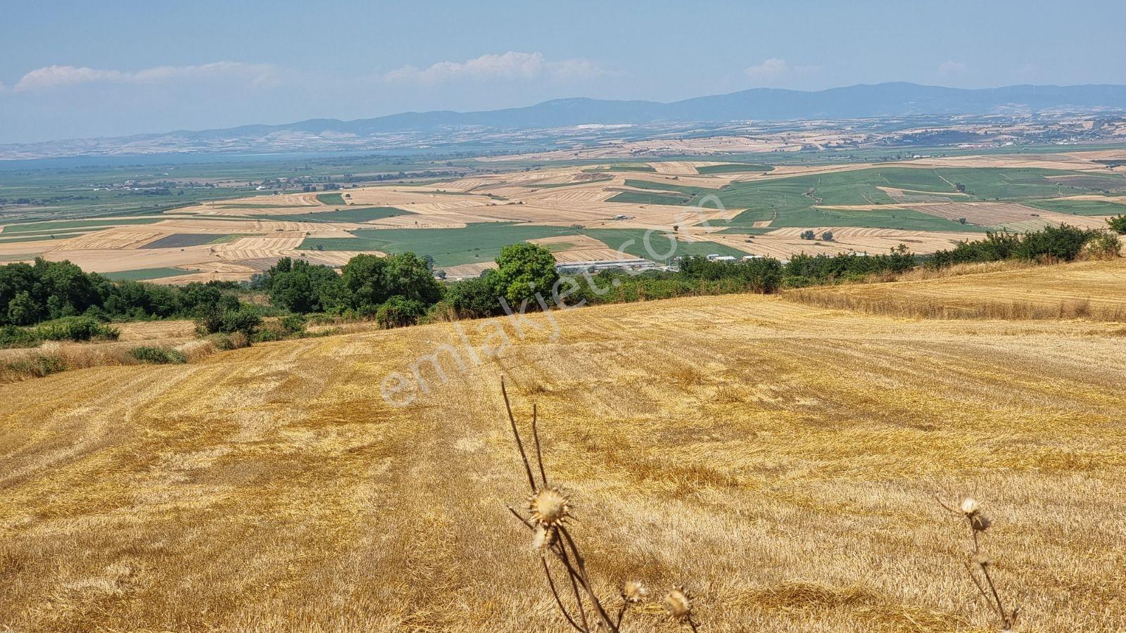 Balıkesir Manyas Cumhuriyet Te Eşsiz Manzaralı 6234m2 Fırsat Yer - Görsel 31
