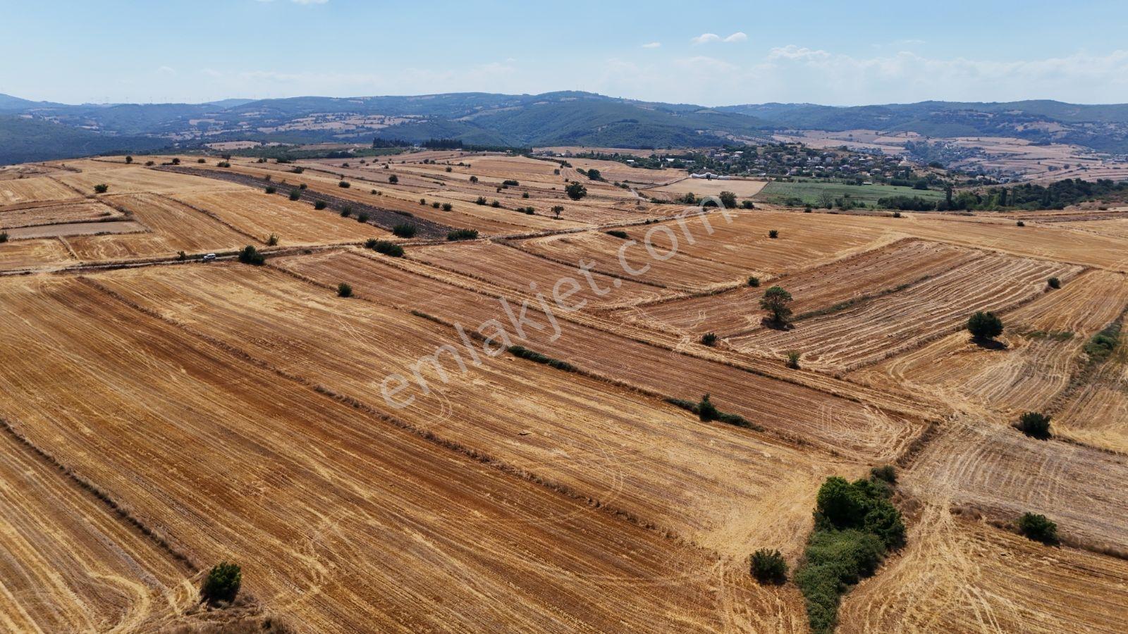 Balıkesir Manyas Cumhuriyet Te Eşsiz Manzaralı 6234m2 Fırsat Yer - Görsel 6