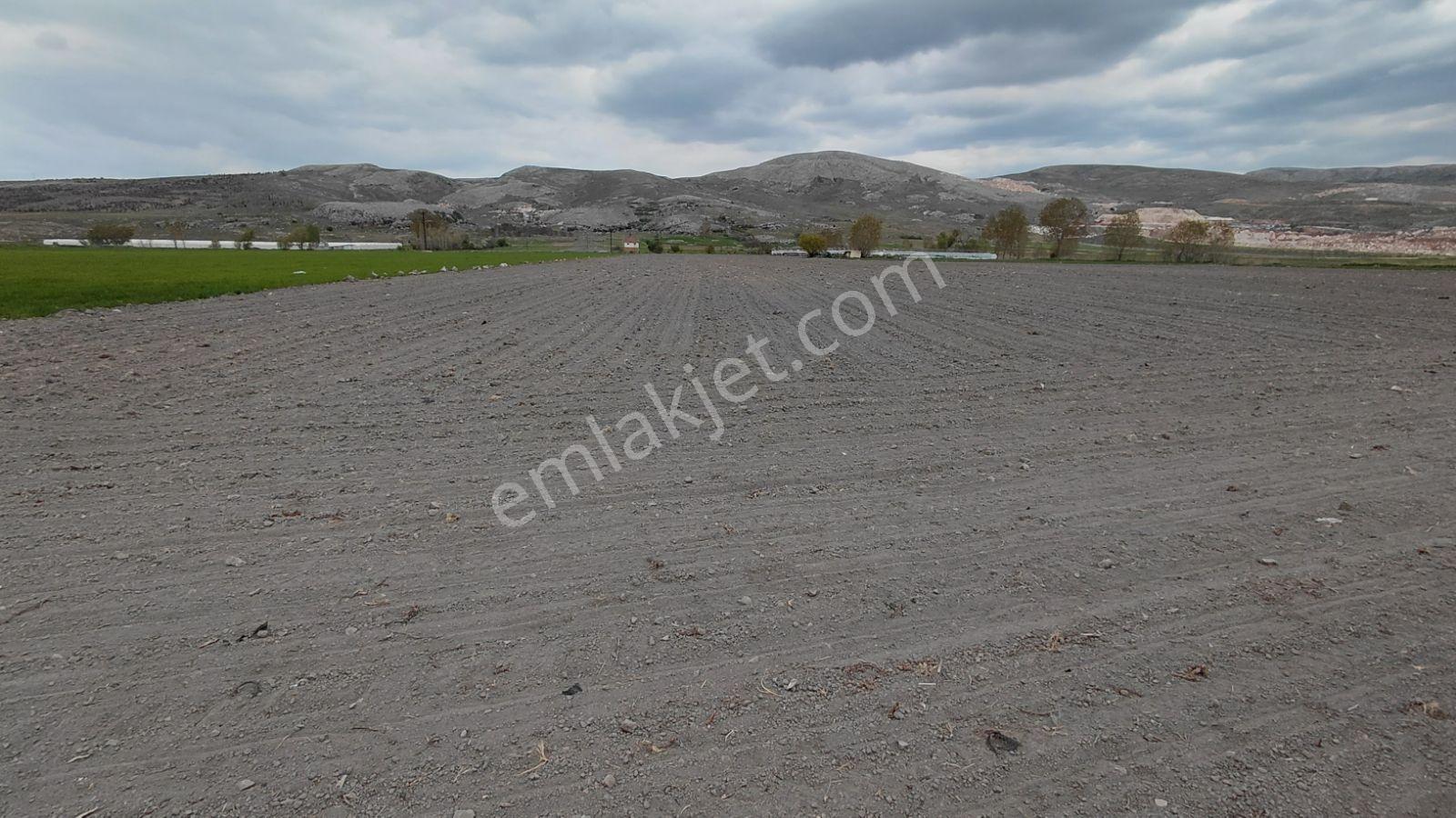 Antalya Korkuteli Manay 104 Dönüm Verimli Tarım Arazisi - Görsel 12