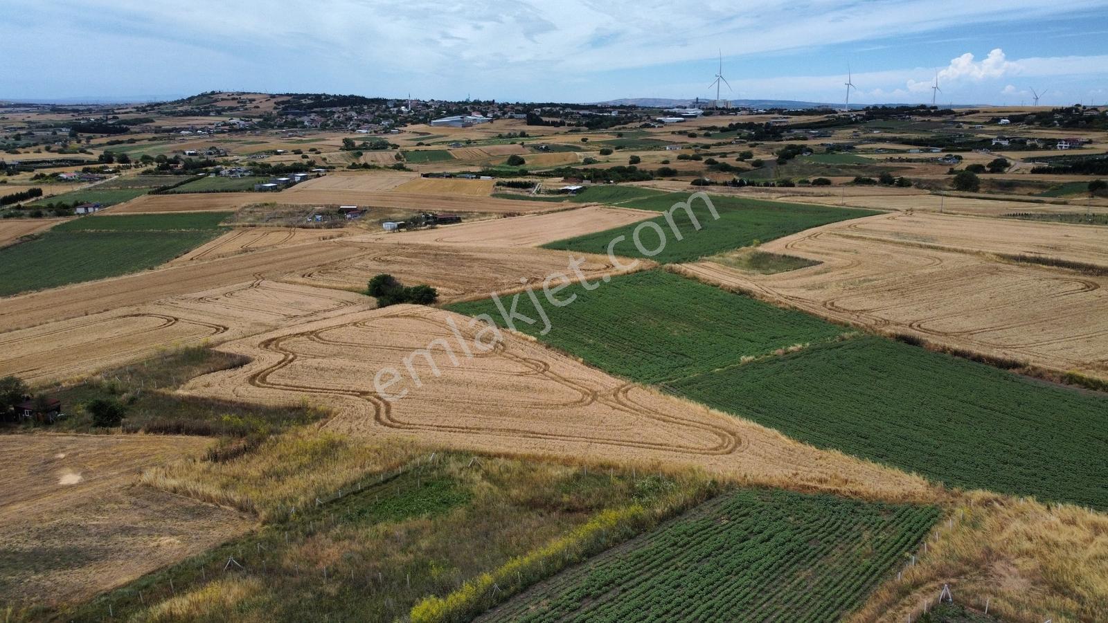 Silivri Fenerköyde Tek Tapu Yüksek Konumda 2130m2 Satılık Tarla - Görsel 8